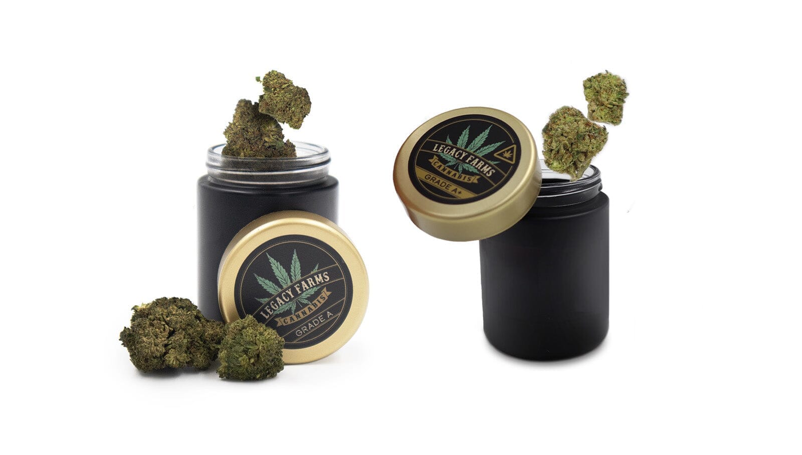 Delta 8 VS THCa: A Comparison of THCs in Flower