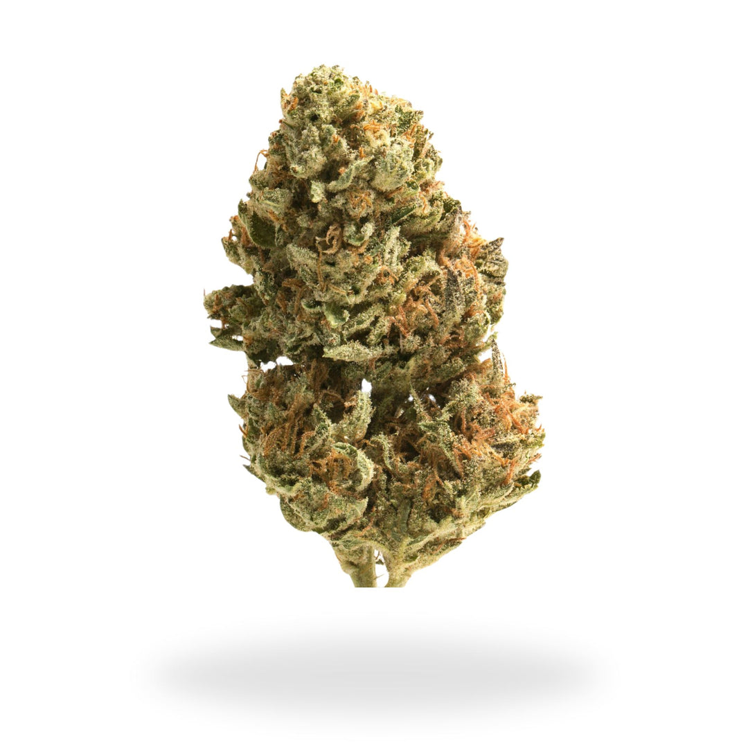 Banana Cream Legacy Farms Grade A THCa Flower Flower The Hemp Farmacy