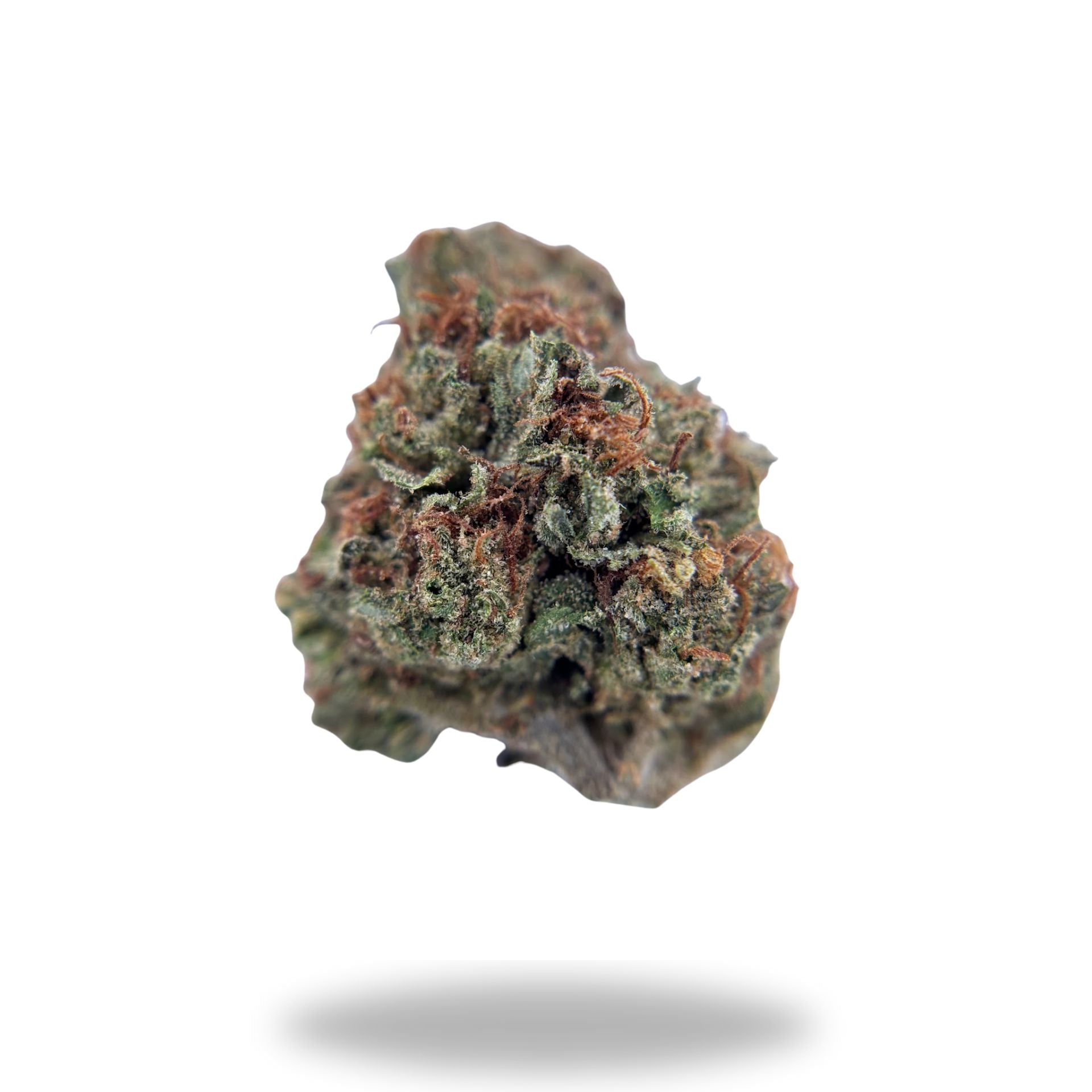 Black Amber Legacy Farms Harvest Collection Flower Flower The Hemp Farmacy 4 Grams