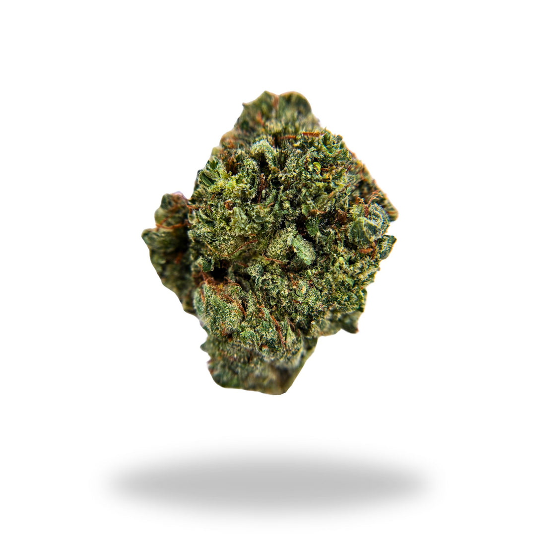 Black Garlic Gelato Legacy Farms THCa Flower Flower The Hemp Farmacy