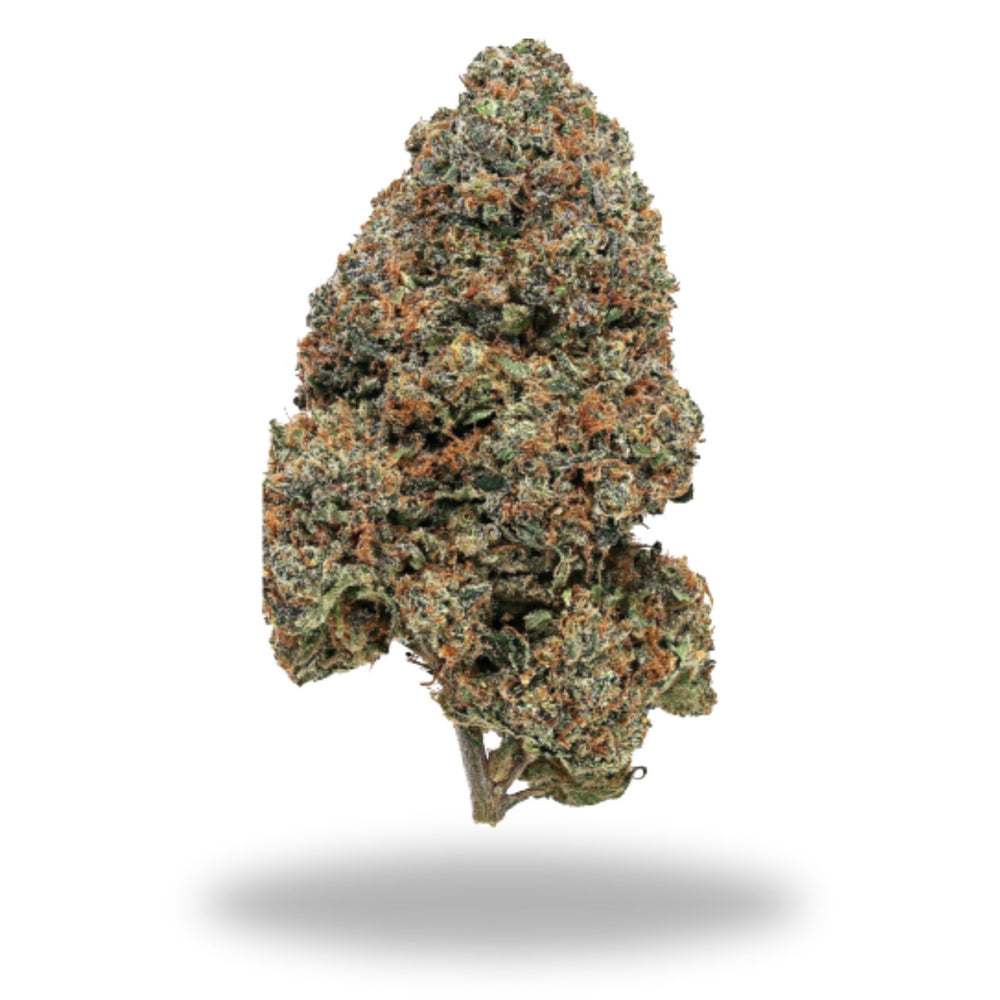 Black Runtz Legacy Farms Grade A THCa Flower Flower The Hemp Farmacy