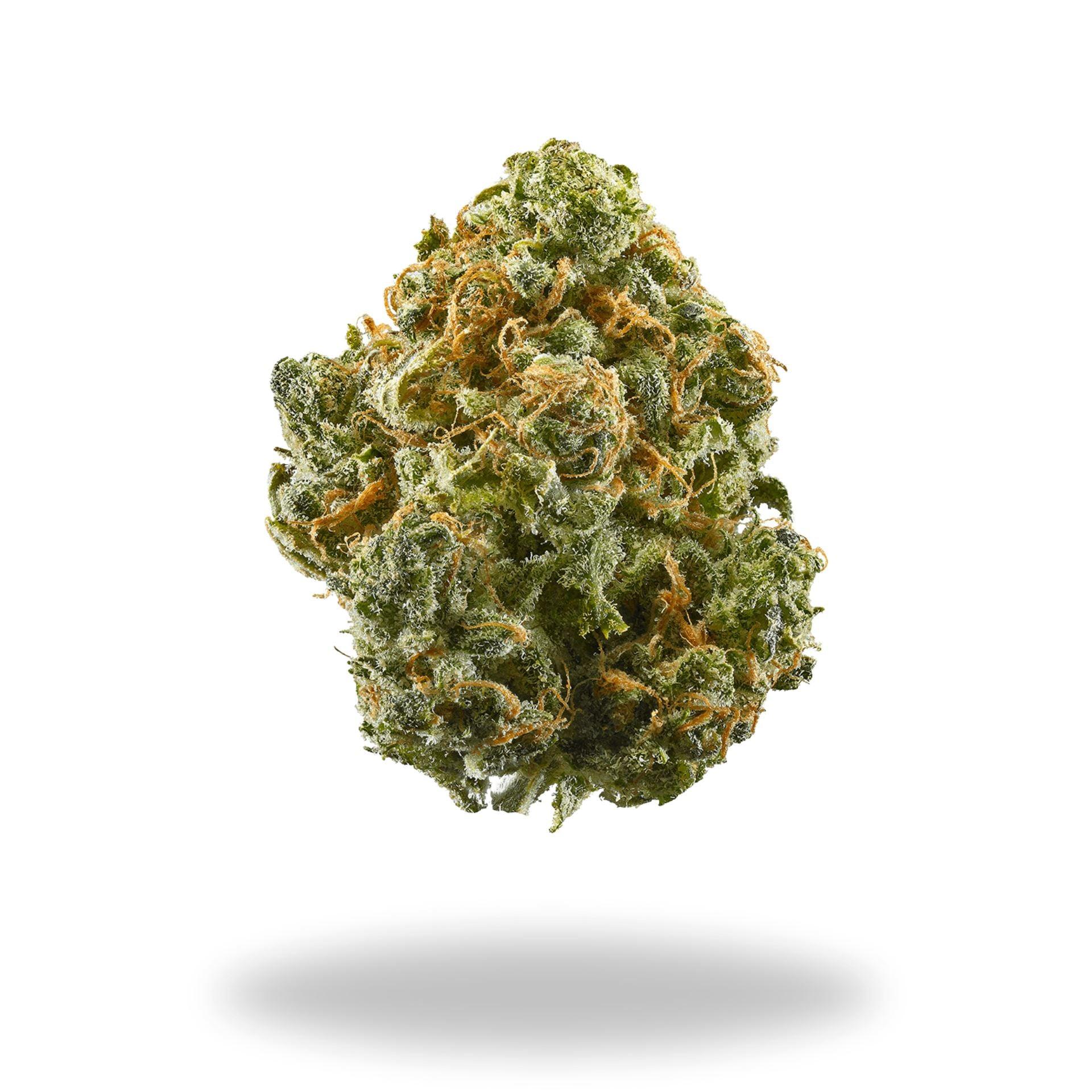 Blue Dream Legacy Farms Grade A THCa Flower Flower The Hemp Farmacy