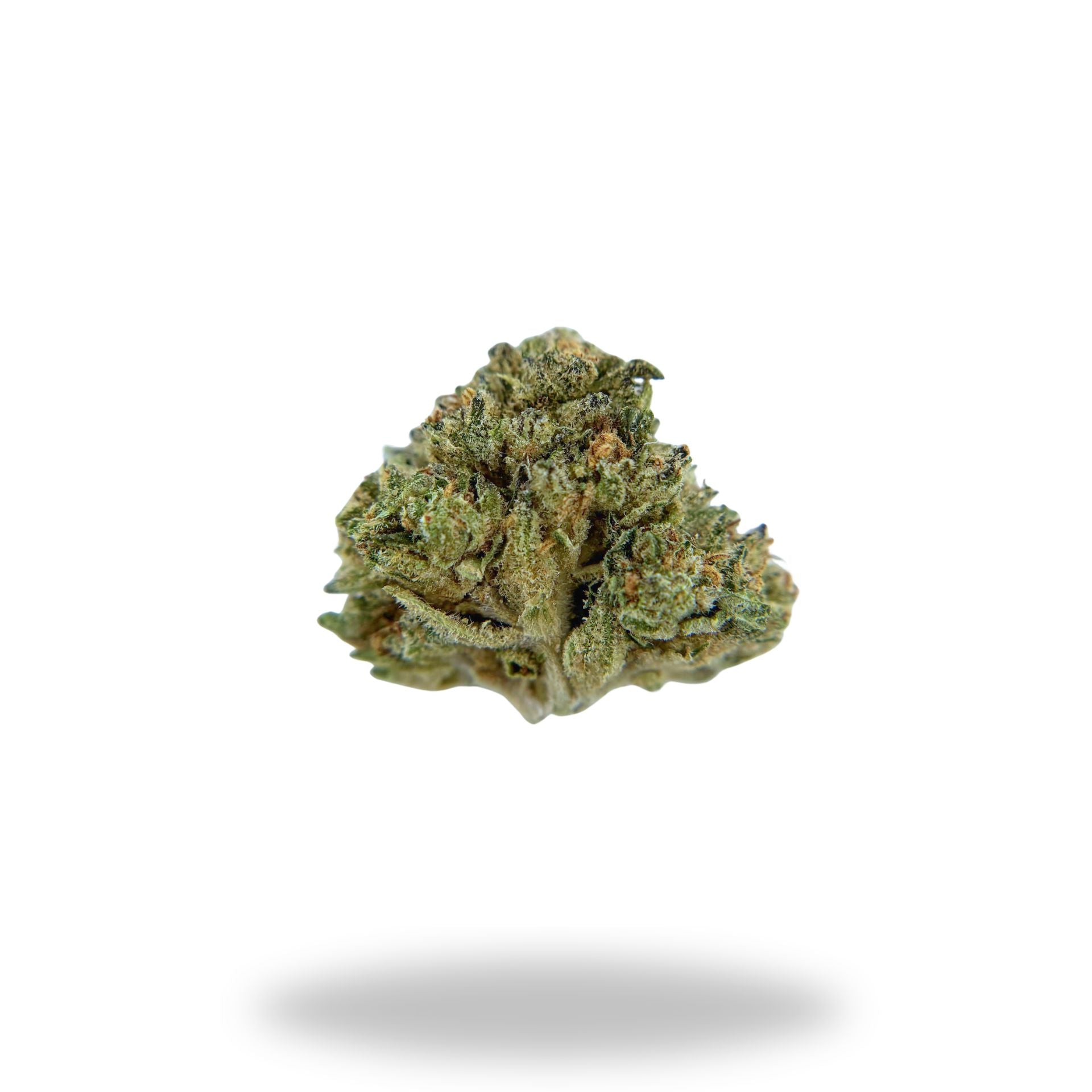 Candy Fumes Legacy Farms Grade A THCa Flower Flower Legacy Farms