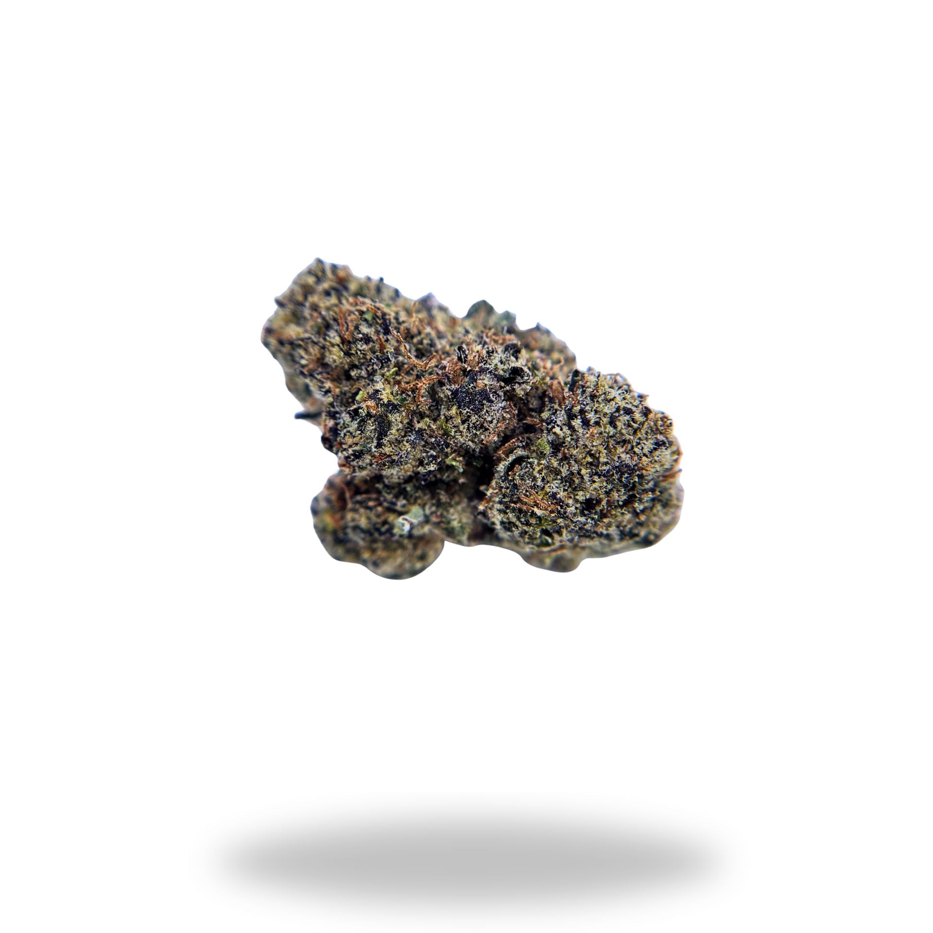 Cereal Milk Legacy Farms Grade A THCa Flower The Hemp Farmacy