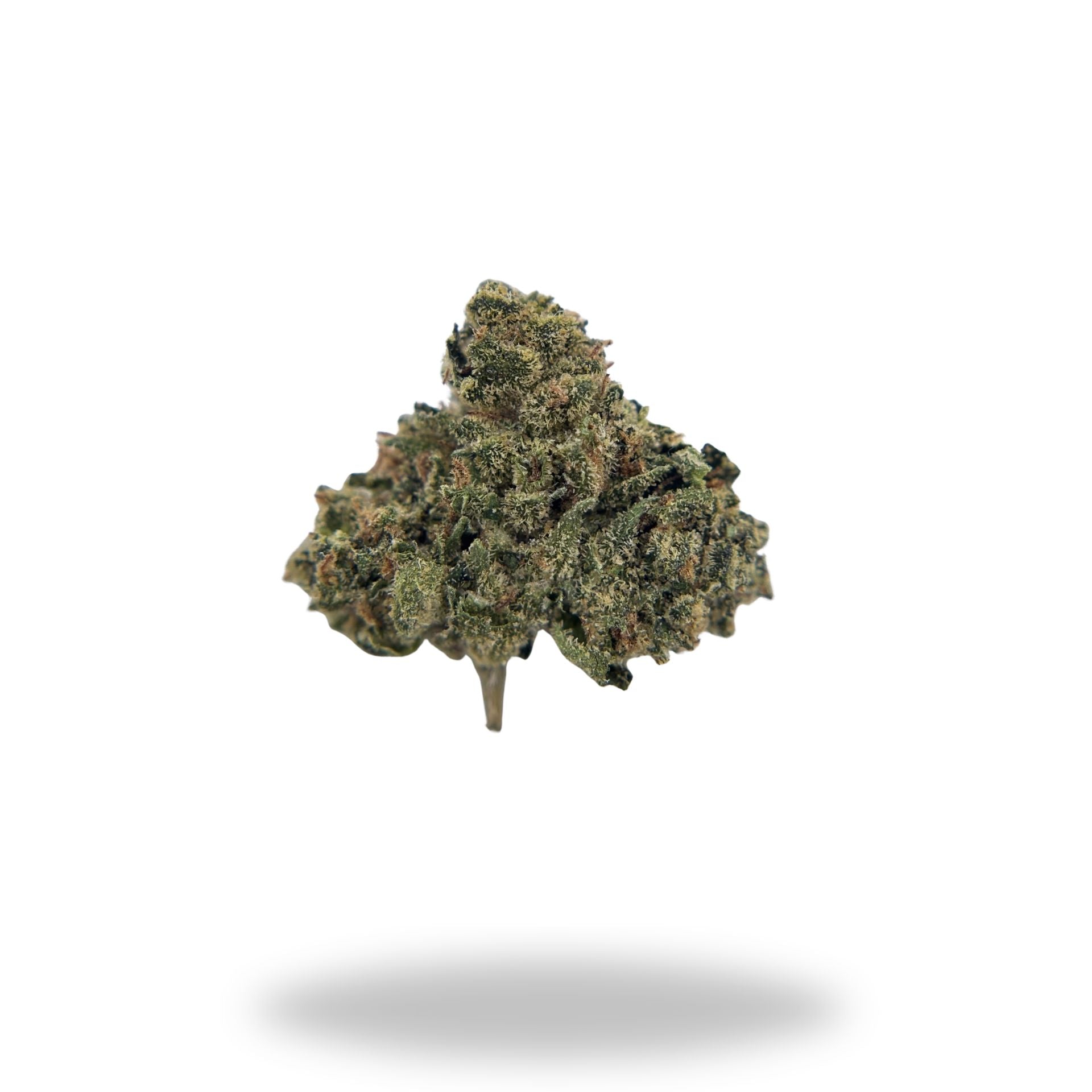 Cheerios Legacy Farms Harvest Collection Flower (Needs COA) Flower Legacy Farms