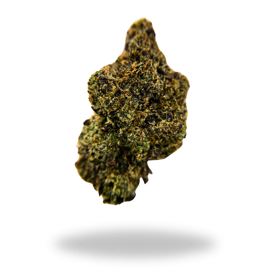 Chocolato Legacy Farms Grade A THCa Flower Flower The Hemp Farmacy