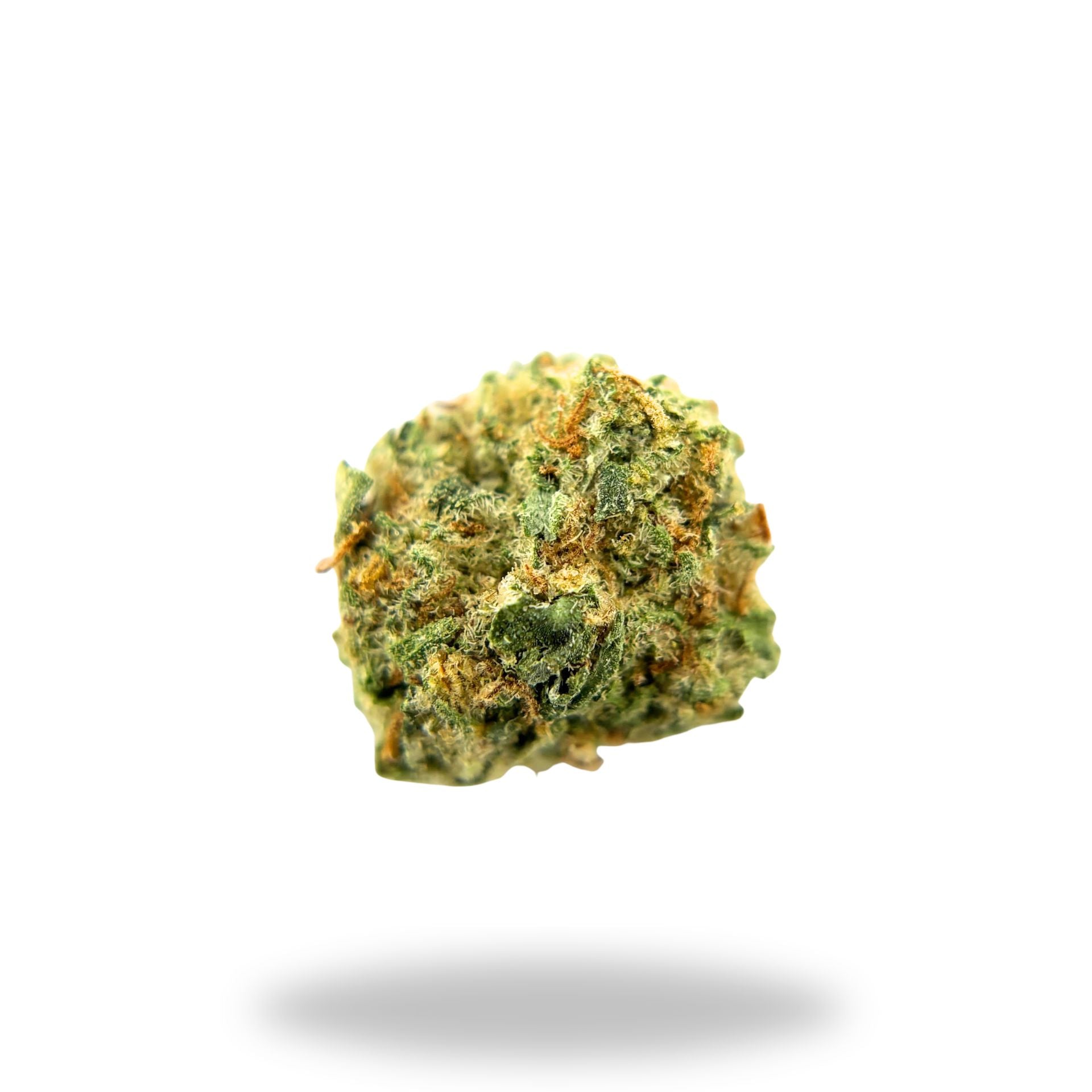 Cookies & Cream Legacy Farms Harvest Collection Flower The Hemp Farmacy