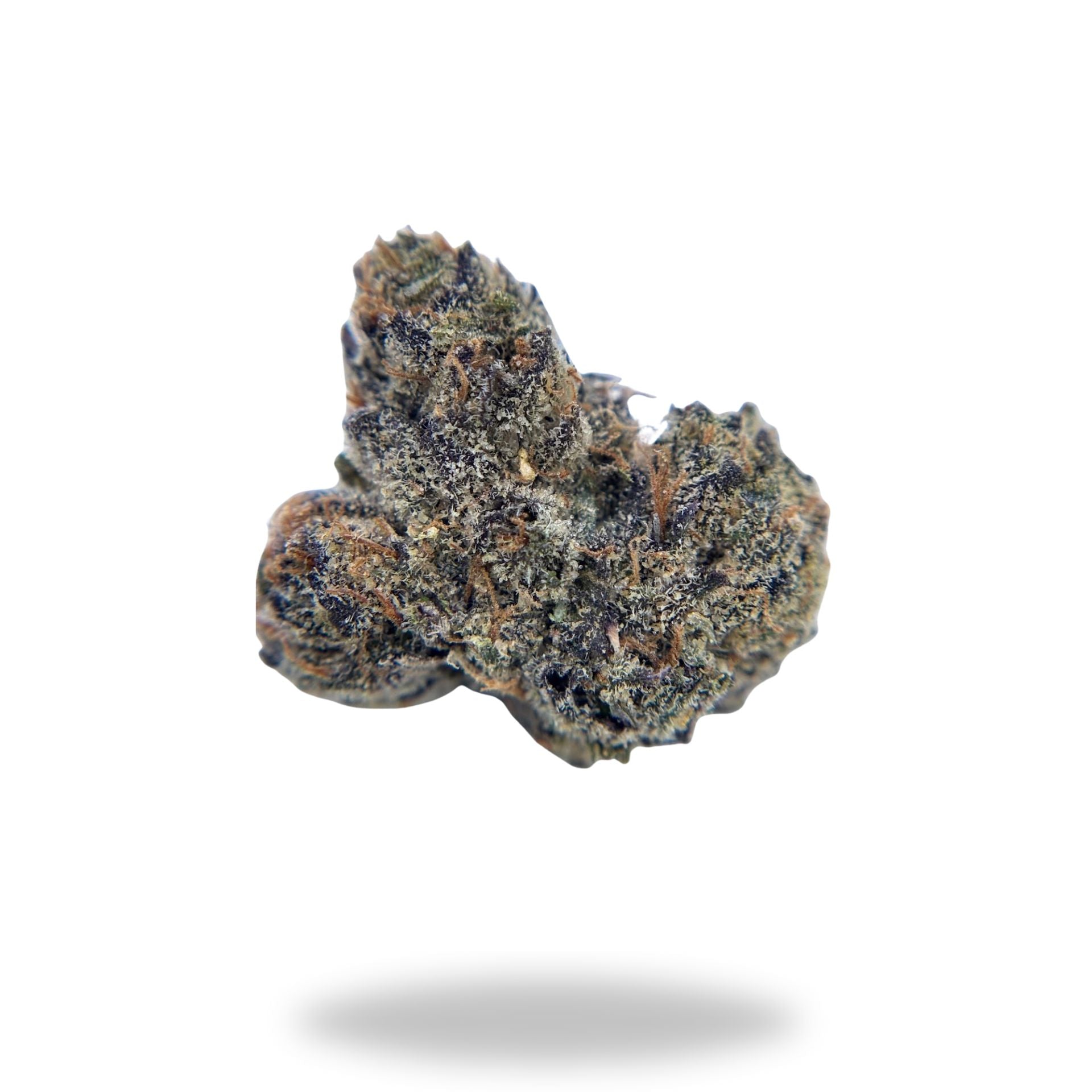 Cotton Candy Gas Legacy Farms Grade A THCa Flower Flower The Hemp Farmacy