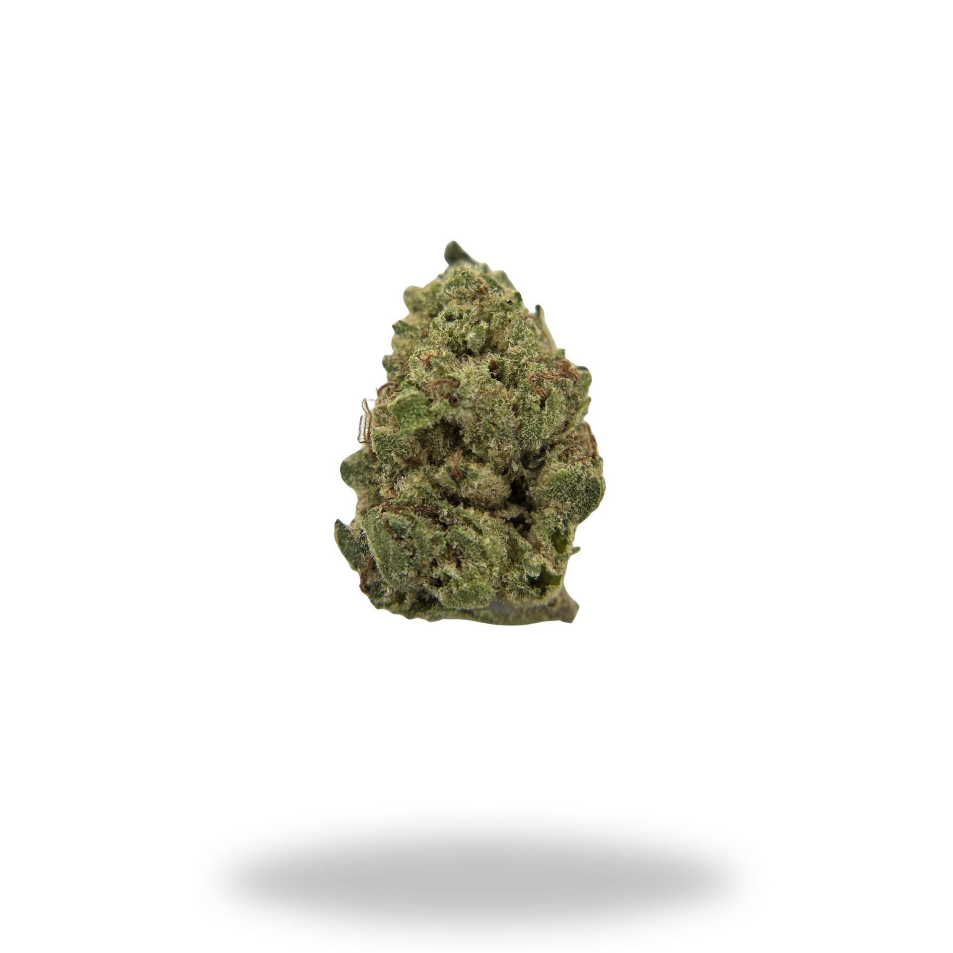 First Class Funk Legacy Farms Harvest Collection Flower Flower Legacy Farms