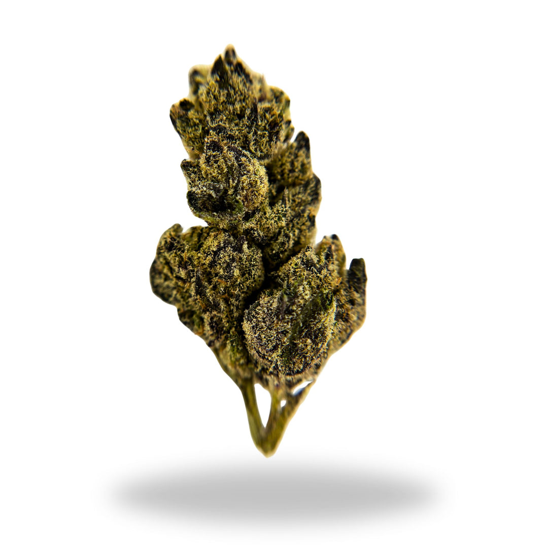 Garlic Glaze Legacy Farms Grade A THCa Flower Flower The Hemp Farmacy