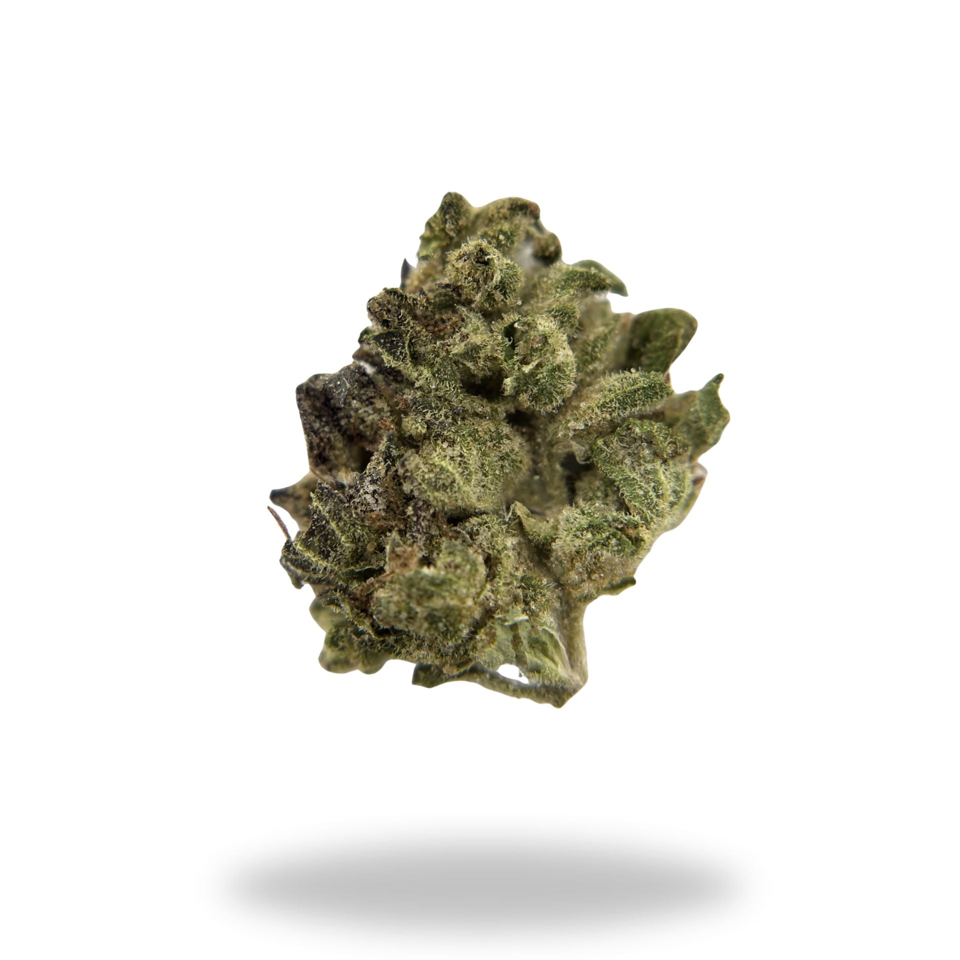 Garlic Truffle Legacy Farms Harvest Collection Flower Flower The Hemp Farmacy