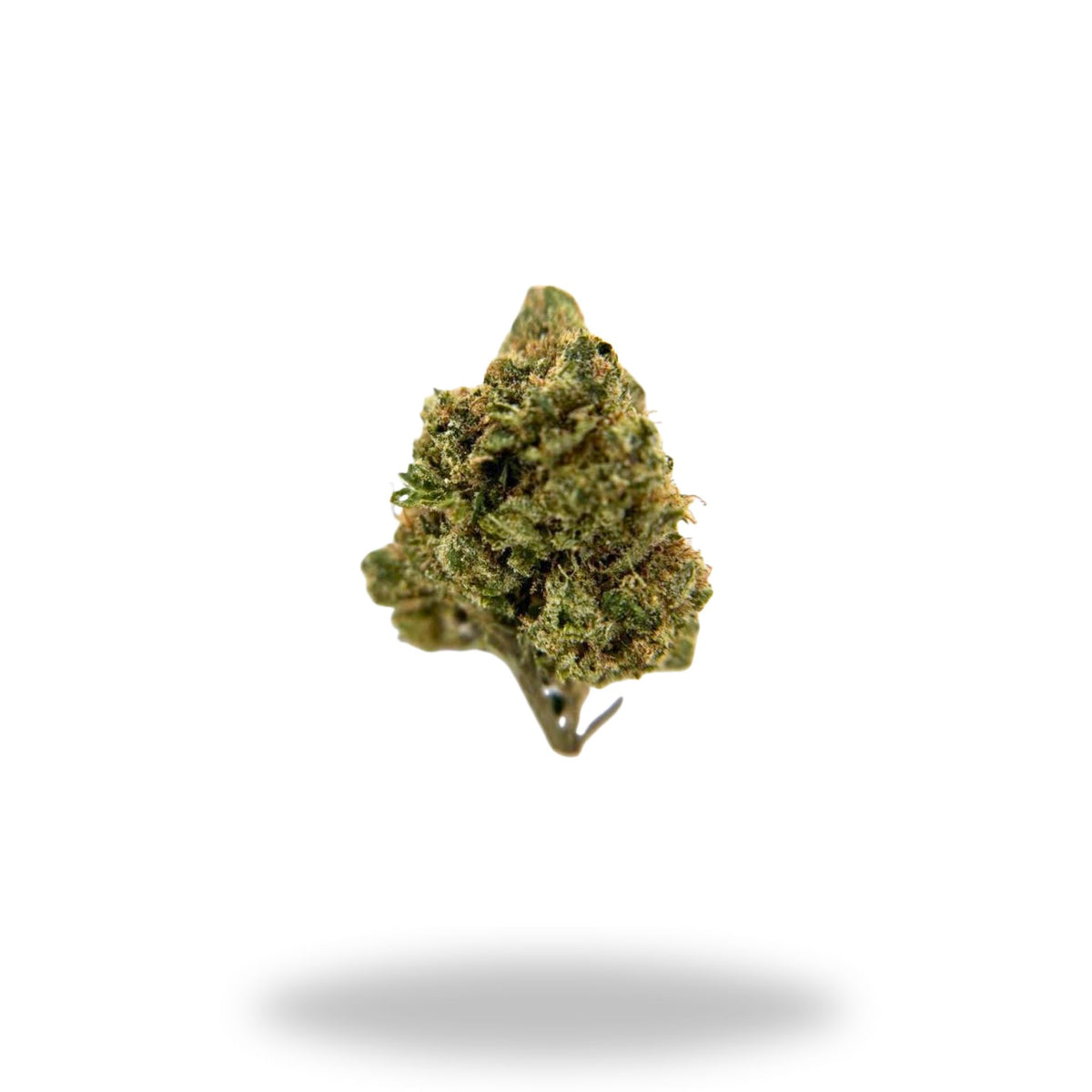Gelato Mintz Legacy Farms Grade A THCa Flower Flower Legacy Farms