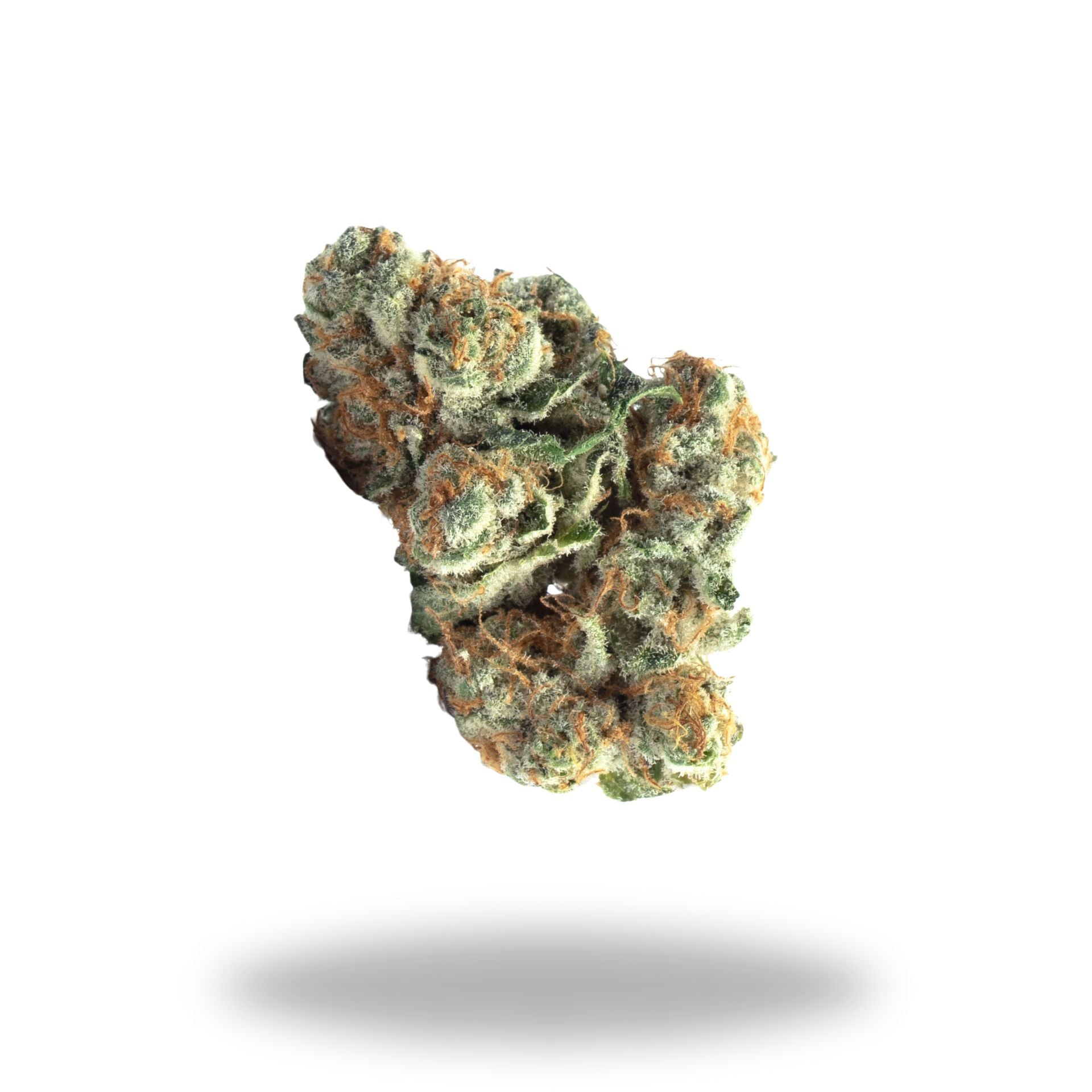 Healer Legacy Farms Grade A CBD Flower Flower The Hemp Farmacy