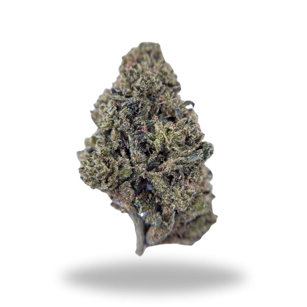 Hells Angel OG Legacy Farms Grade A THCa Flower Flower The Hemp Farmacy