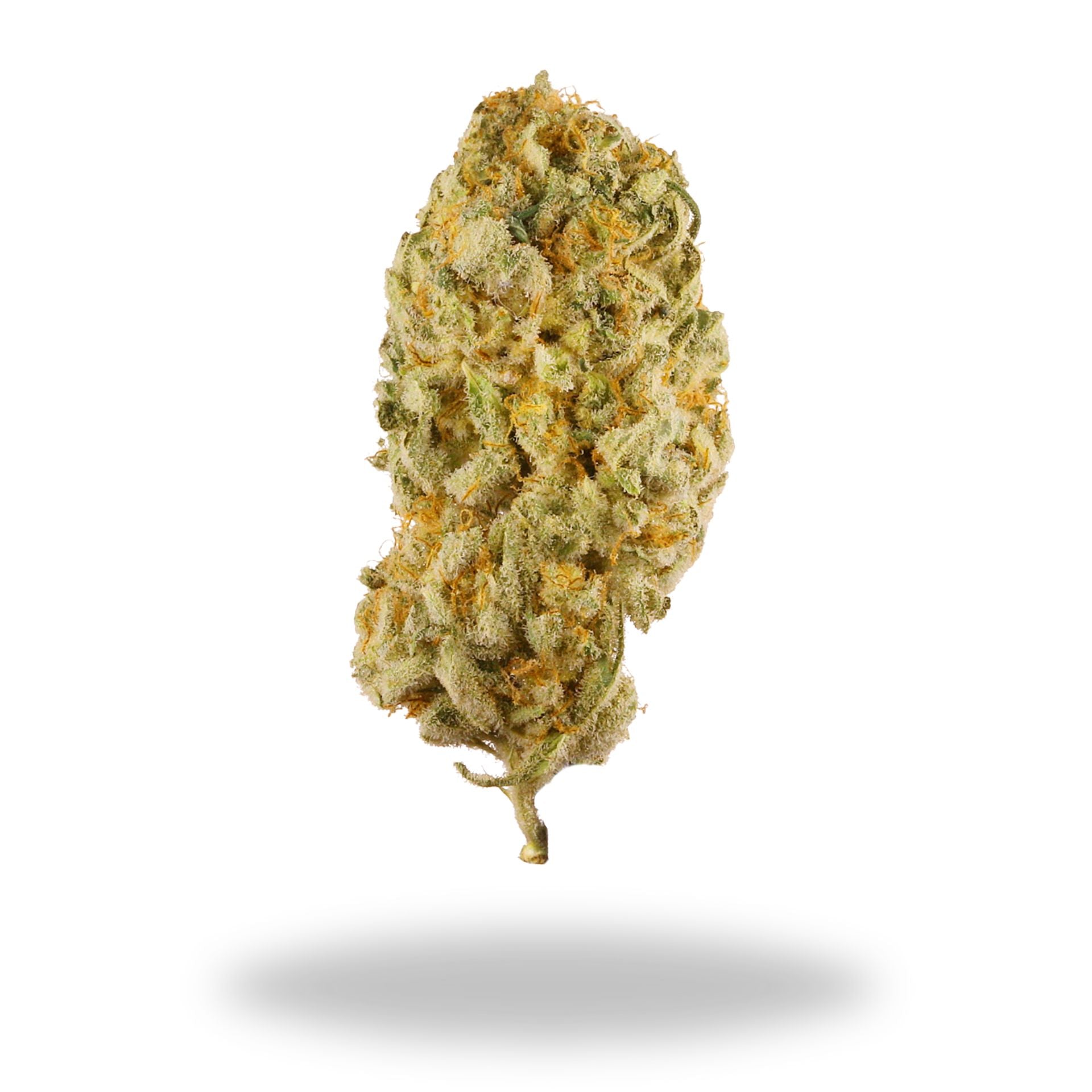 Jack Herer Legacy Farms Grade A THCa Flower Flower The Hemp Farmacy