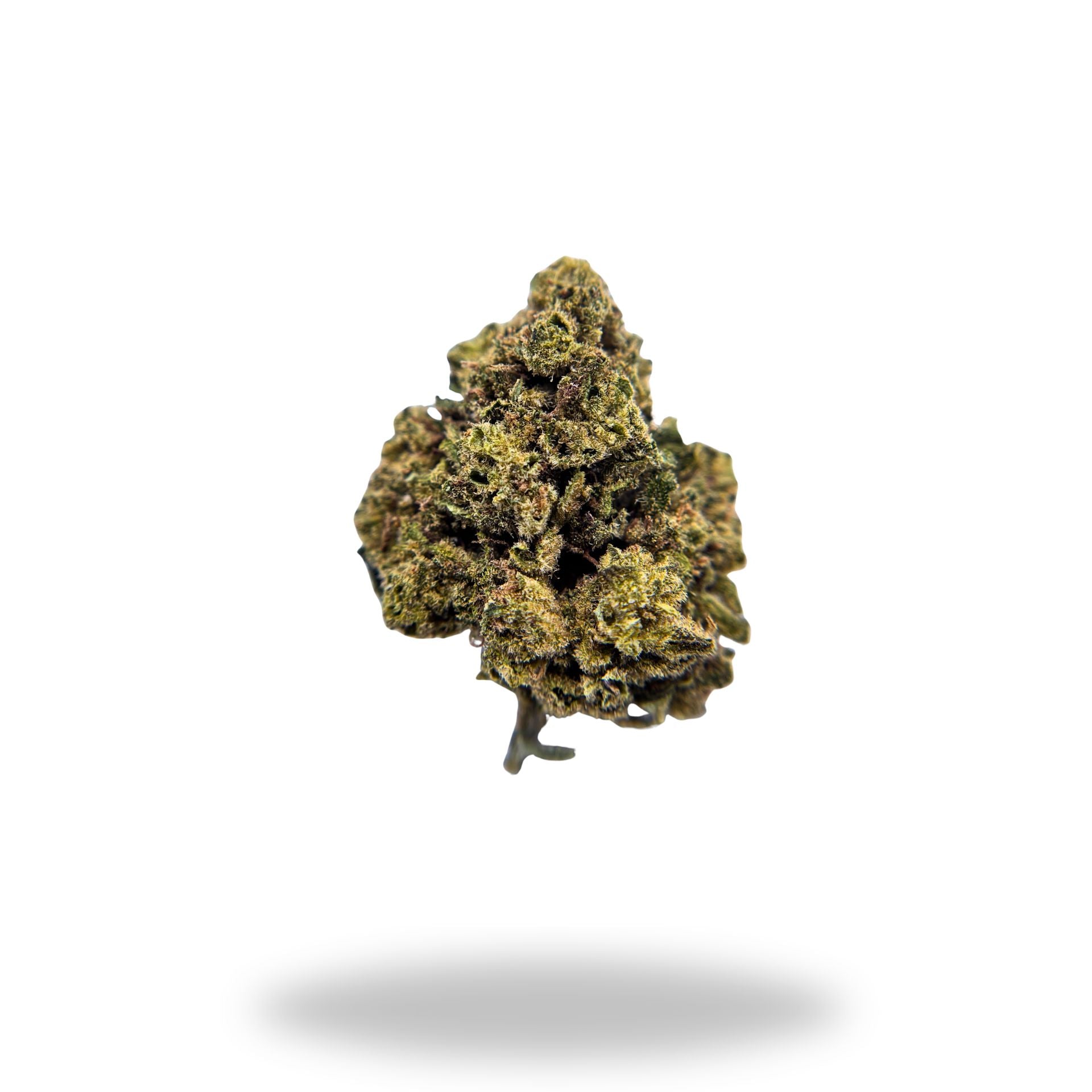 Jenny Kush Legacy Farms Harvest Collection Flower The Hemp Farmacy