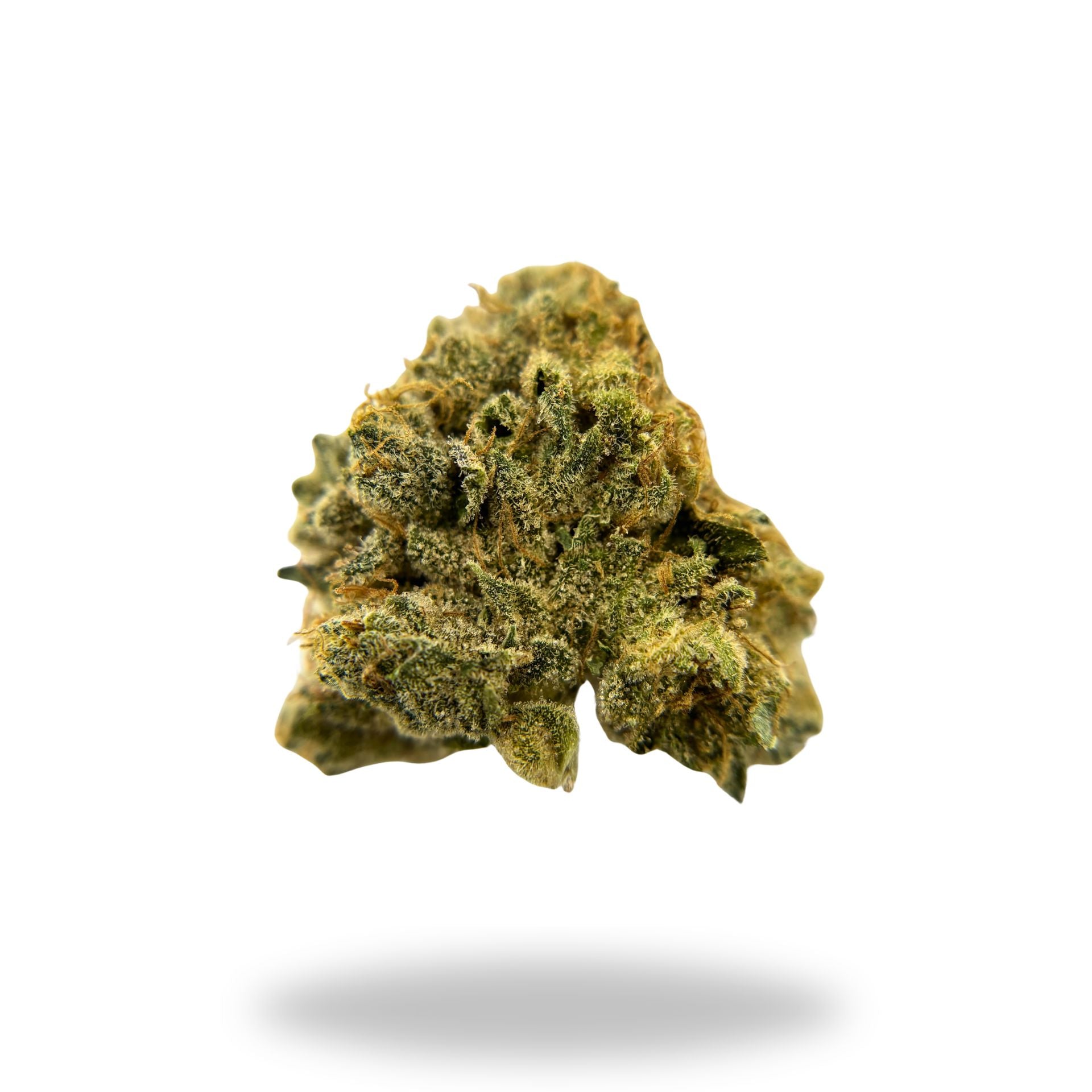 Maple Fumez Legacy Farms Grade A THCa Flower Flower Legacy Farms
