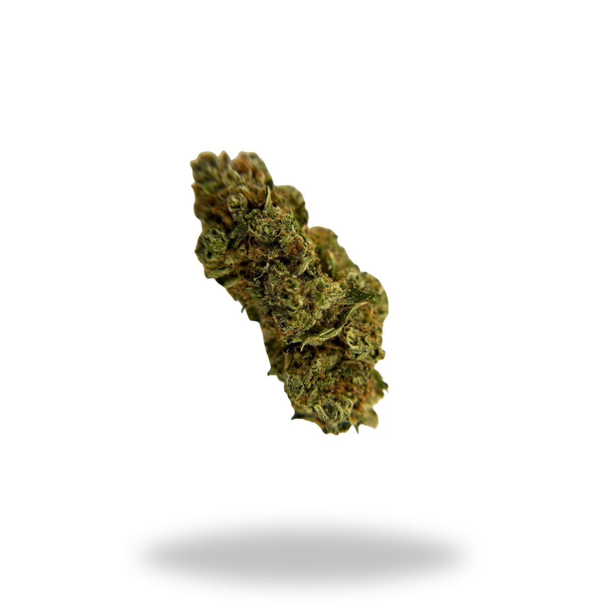 Orange Cookies Legacy Farms Harvest Collection Flower Flower Legacy Farms