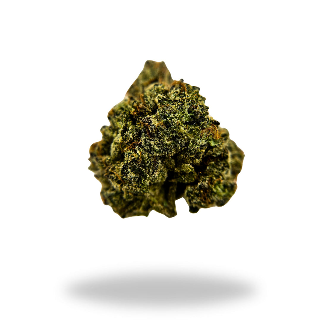 Platinum Lemon Gushers Legacy Farms THCa Flower Flower The Hemp Farmacy