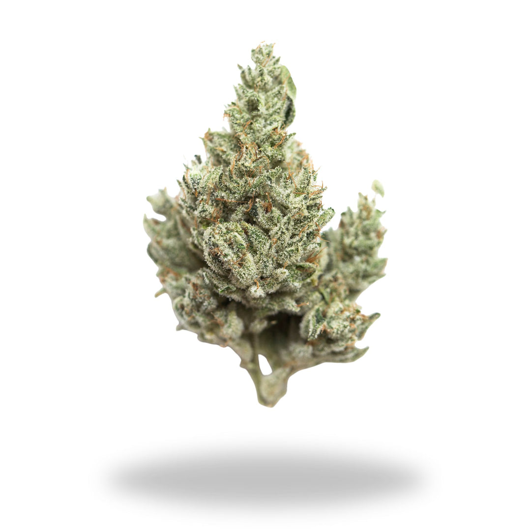 Pluto Kush Legacy Farms Grade A THCa Flower Flower The Hemp Farmacy