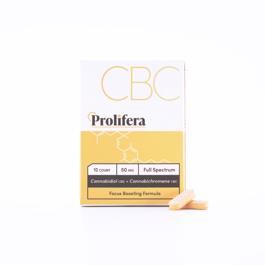 Prolifera Tablets 10 Count Tablets Prolifera