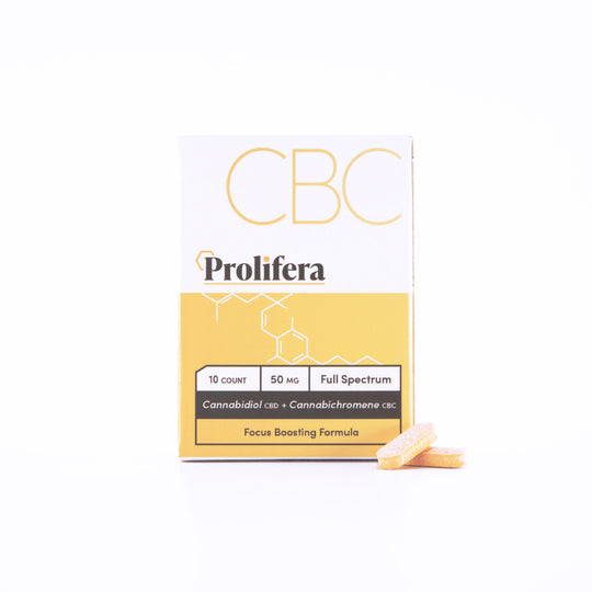 Prolifera Tablets 10 Count Tablets Prolifera