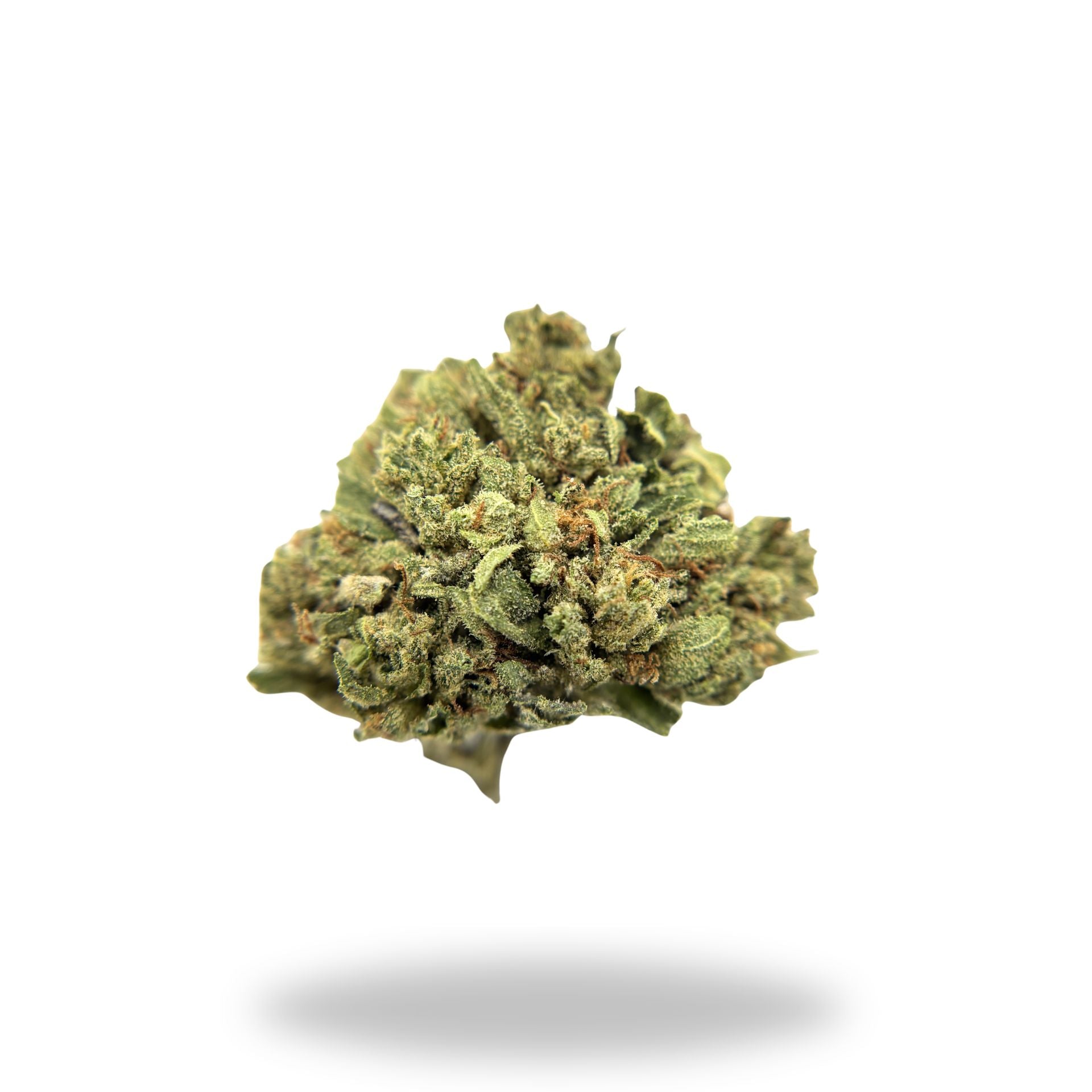 Pure Kush Legacy Farms Harvest Collection Flower The Hemp Farmacy