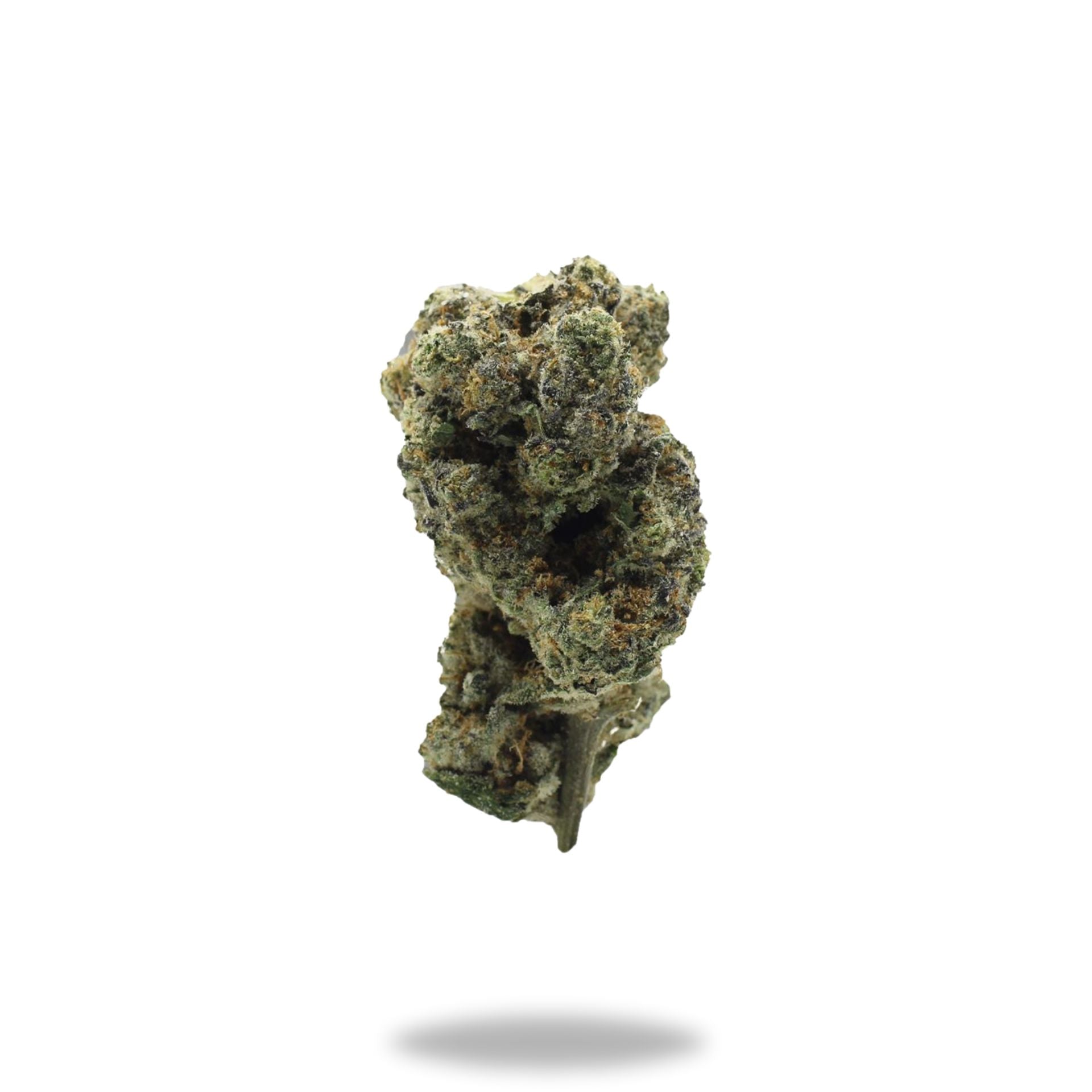 Purple Champagne Legacy Farms Harvest Collection Flower Flower The Hemp Farmacy 4 Grams