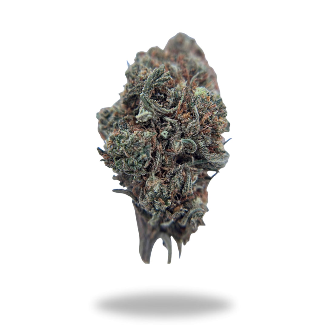 Rainbow Sherbet Legacy Farms Harvest Collection Flower Flower The Hemp Farmacy 4 Grams