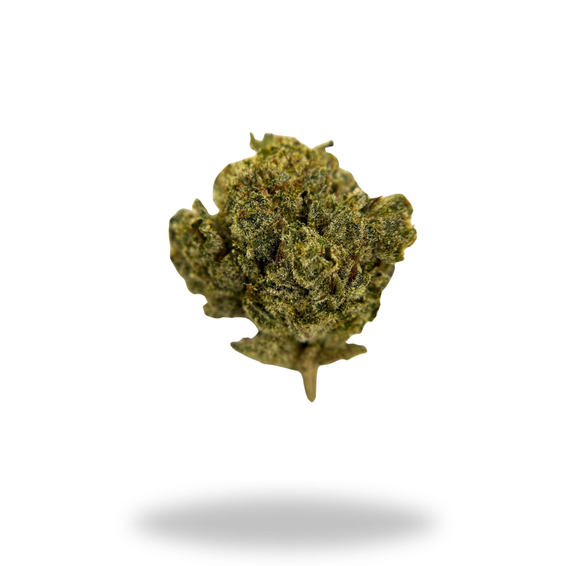Royal Chemdawg Legacy Farms Harvest Collection Flower The Hemp Farmacy
