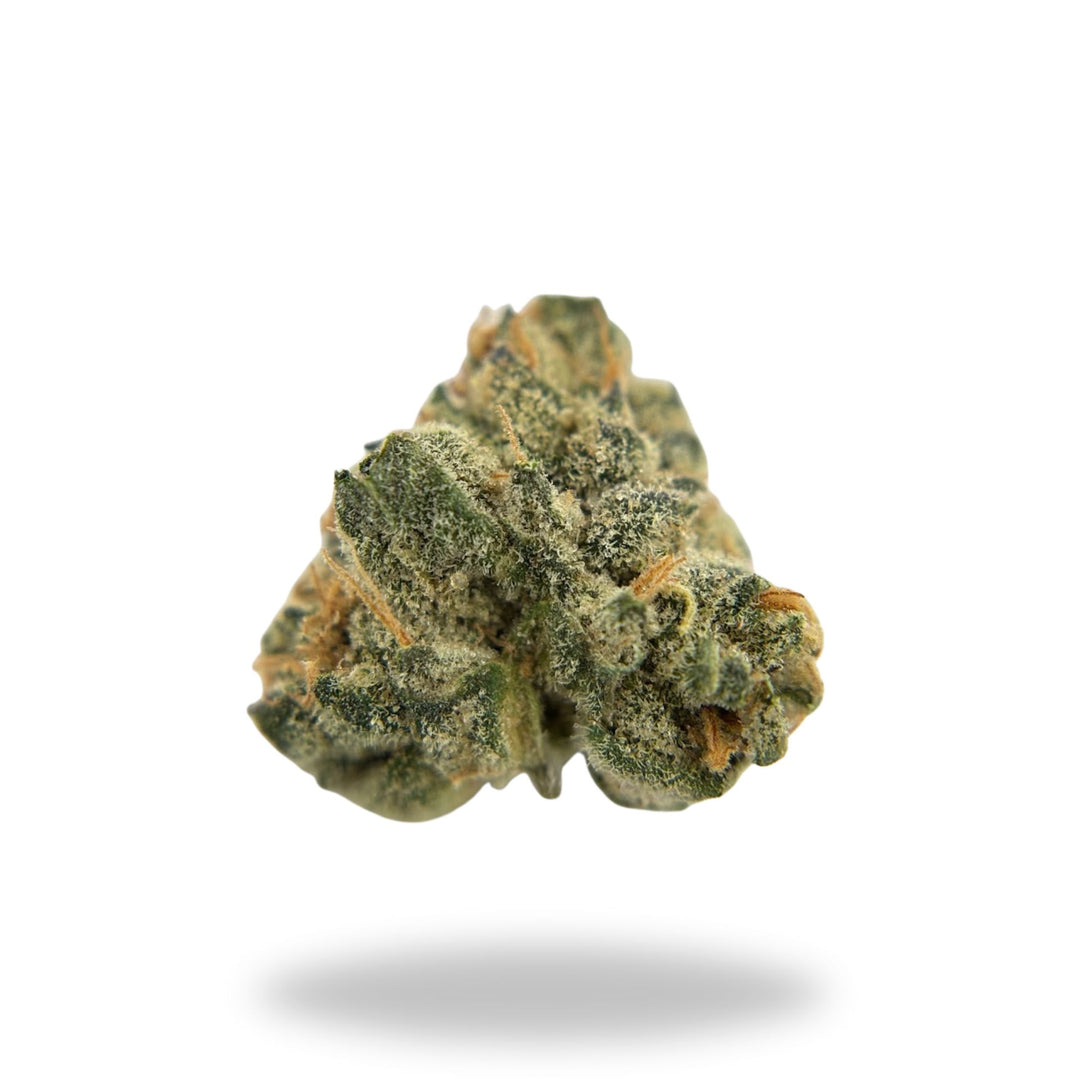 Sherbacio Legacy Farms Harvest Collection Flower Flower The Hemp Farmacy