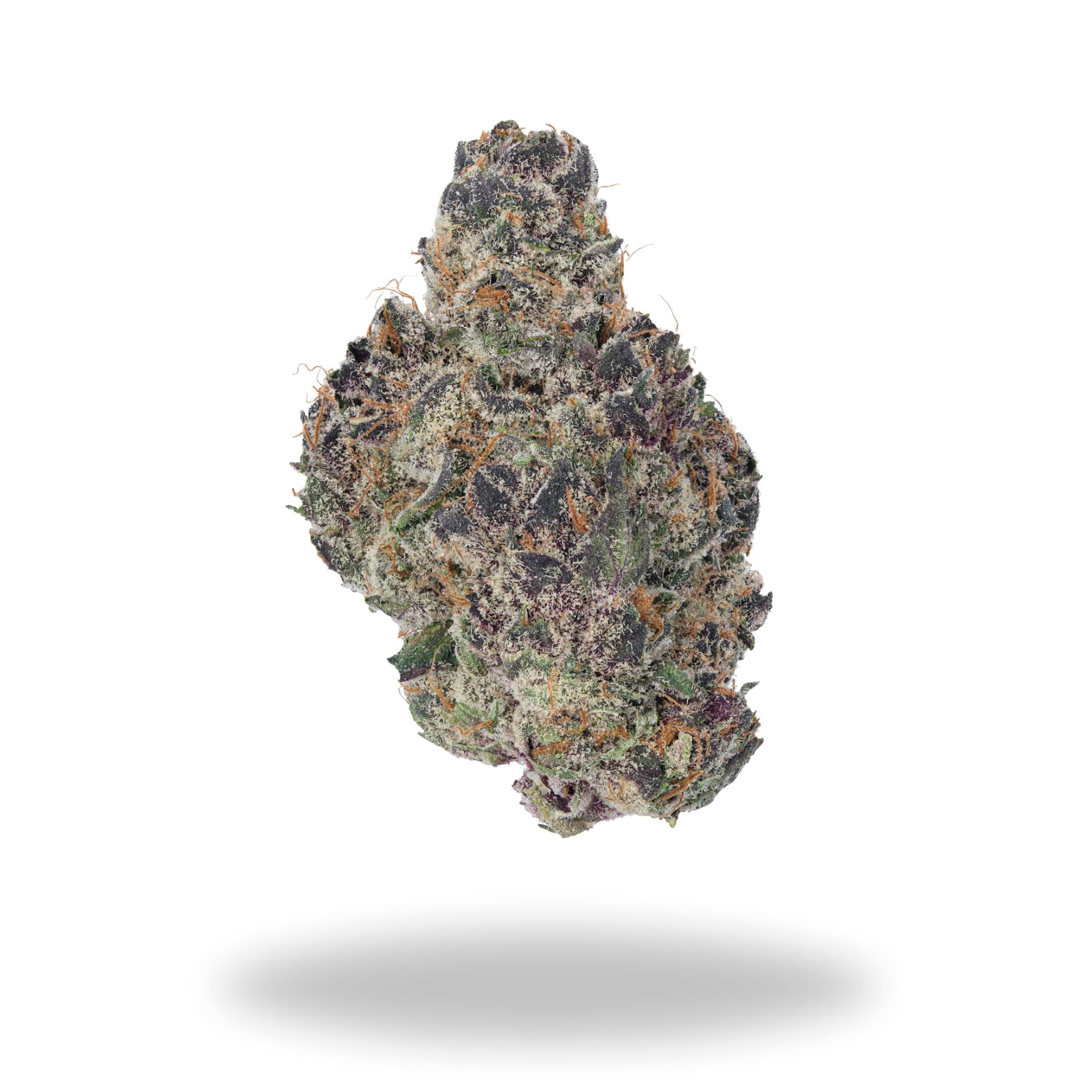 Tropicana Cherry Legacy Farms Grade A THCa Flower The Hemp Farmacy