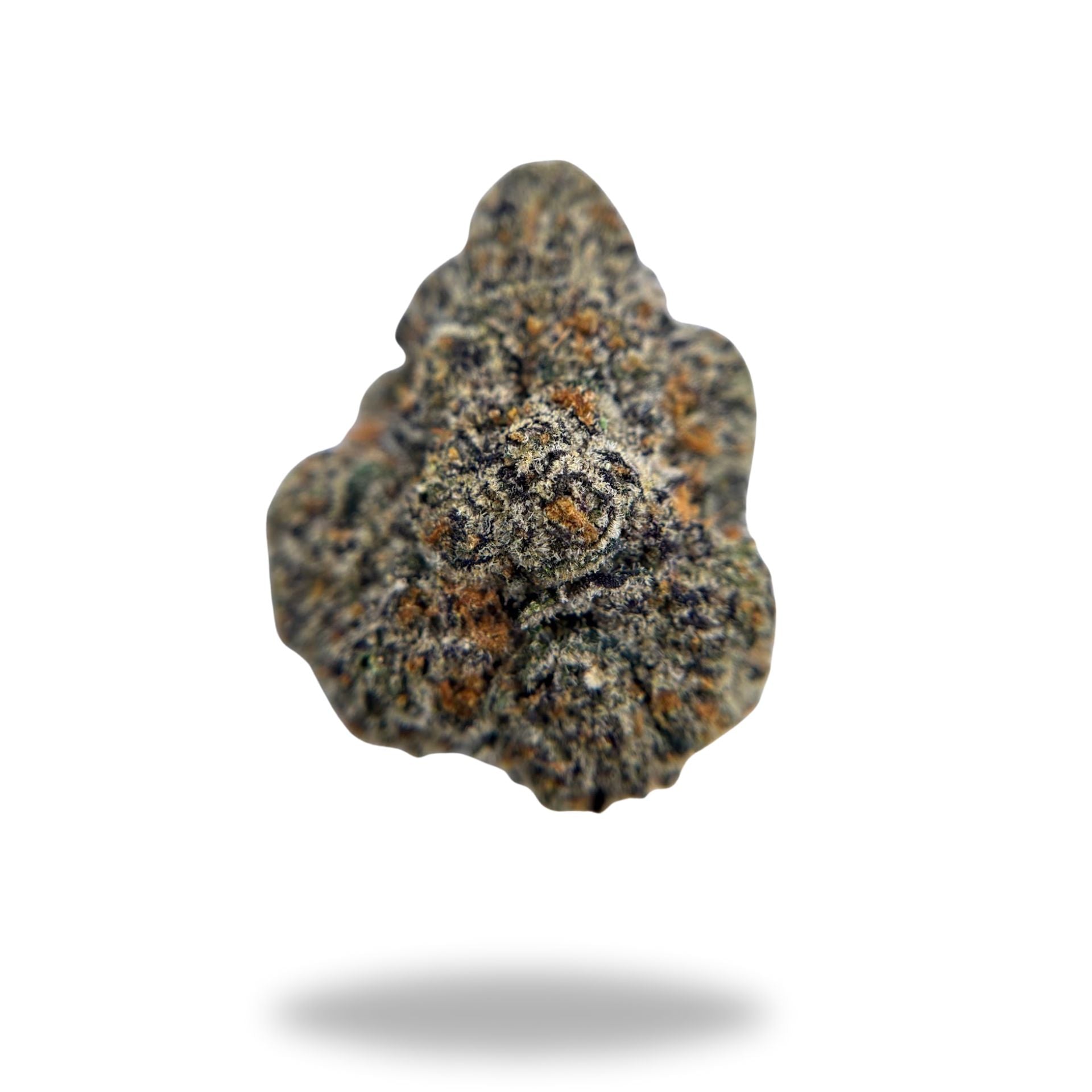 Walking In LA Legacy Farms Grade A THCa Flower Flower The Hemp Farmacy Eighth