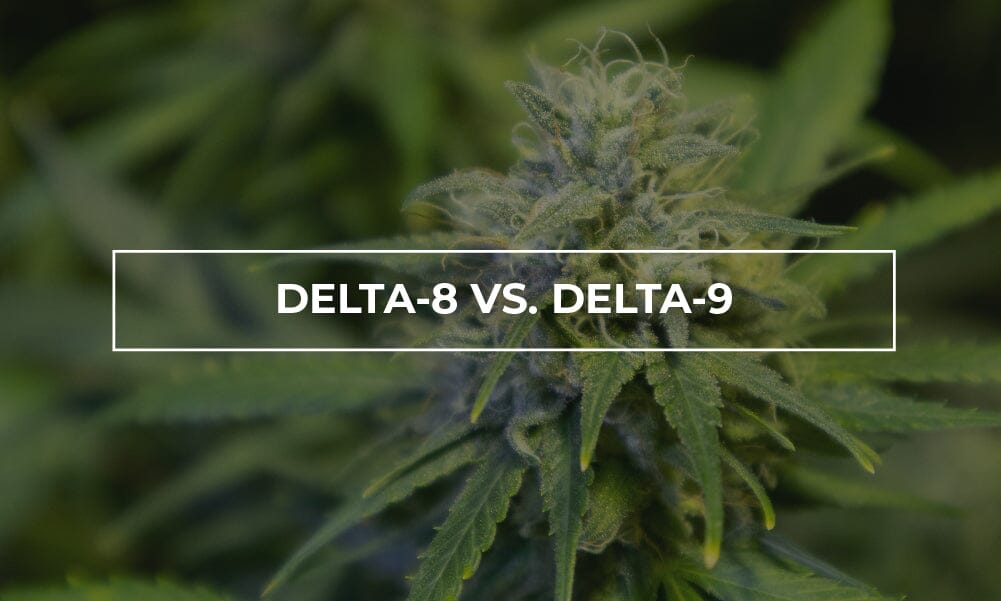 Delta 8 versus Delta 9: What's the difference?