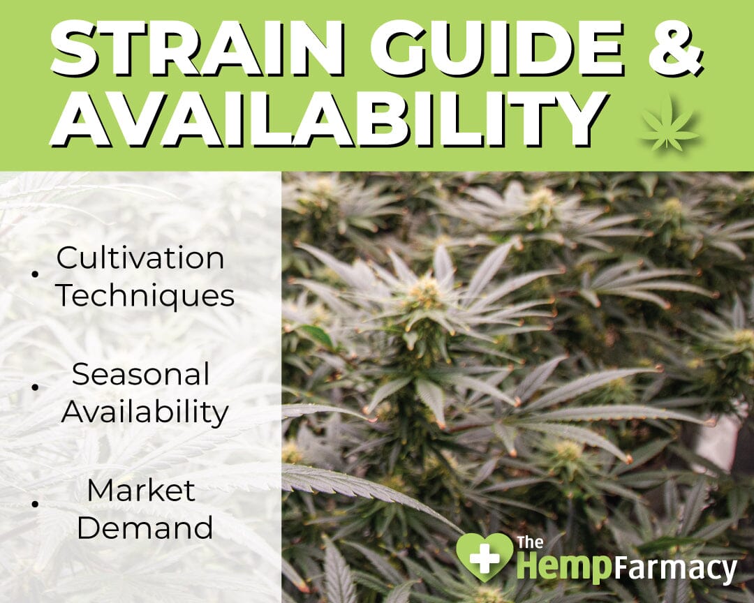 Explaining Cannabis Strain Availability and Why They Rotate.