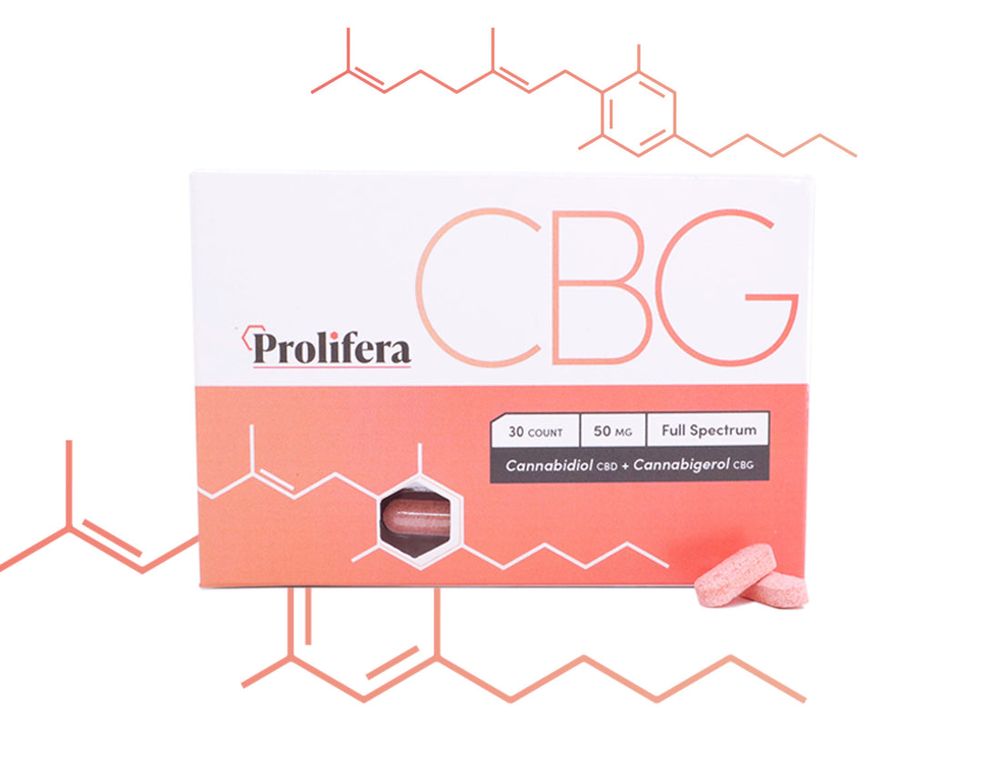 Guide to CBG, the "Mother Cannabinoid" by Prolifera