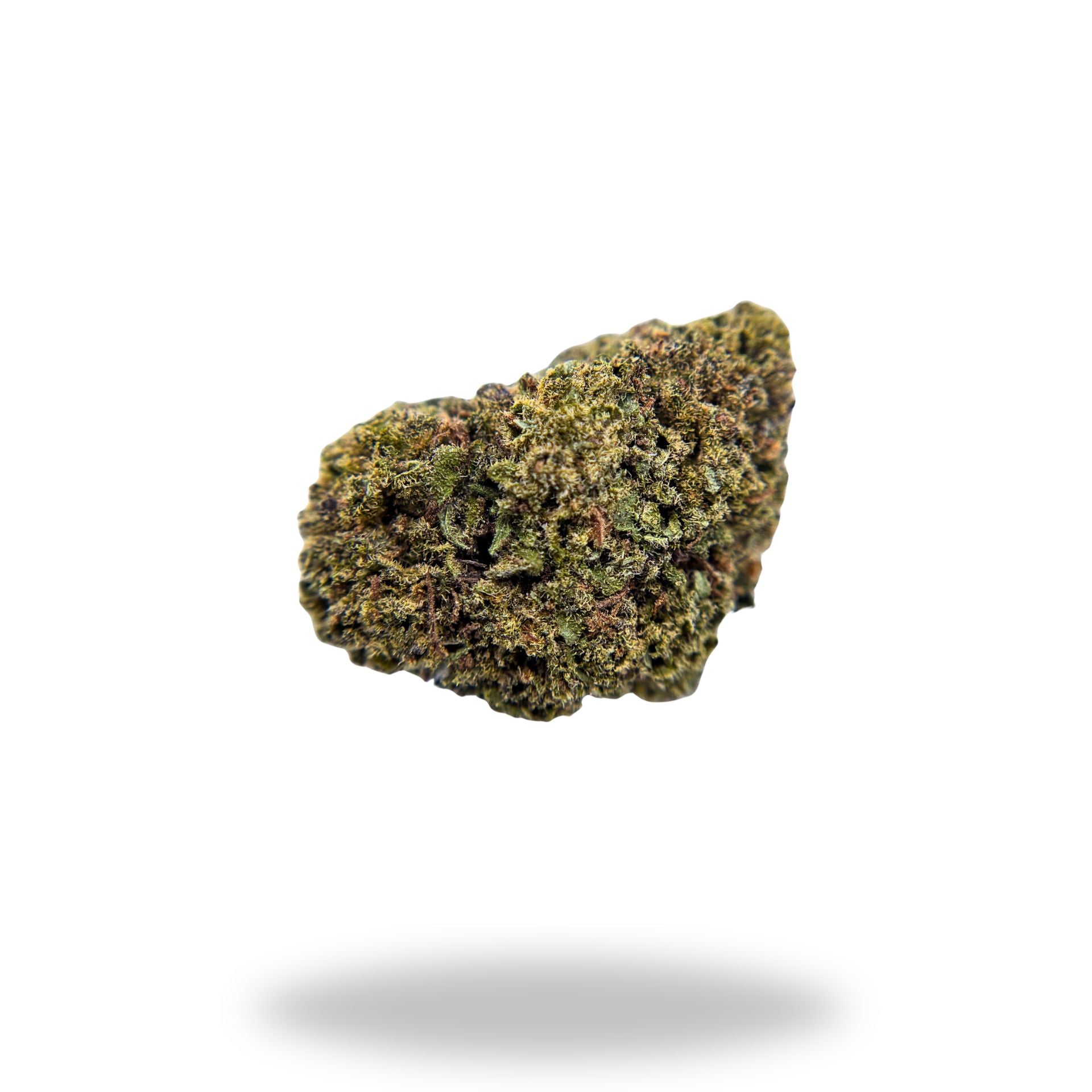 #8 Orange Octane Legacy Farms Harvest Collection Flower Flower Legacy Farms 