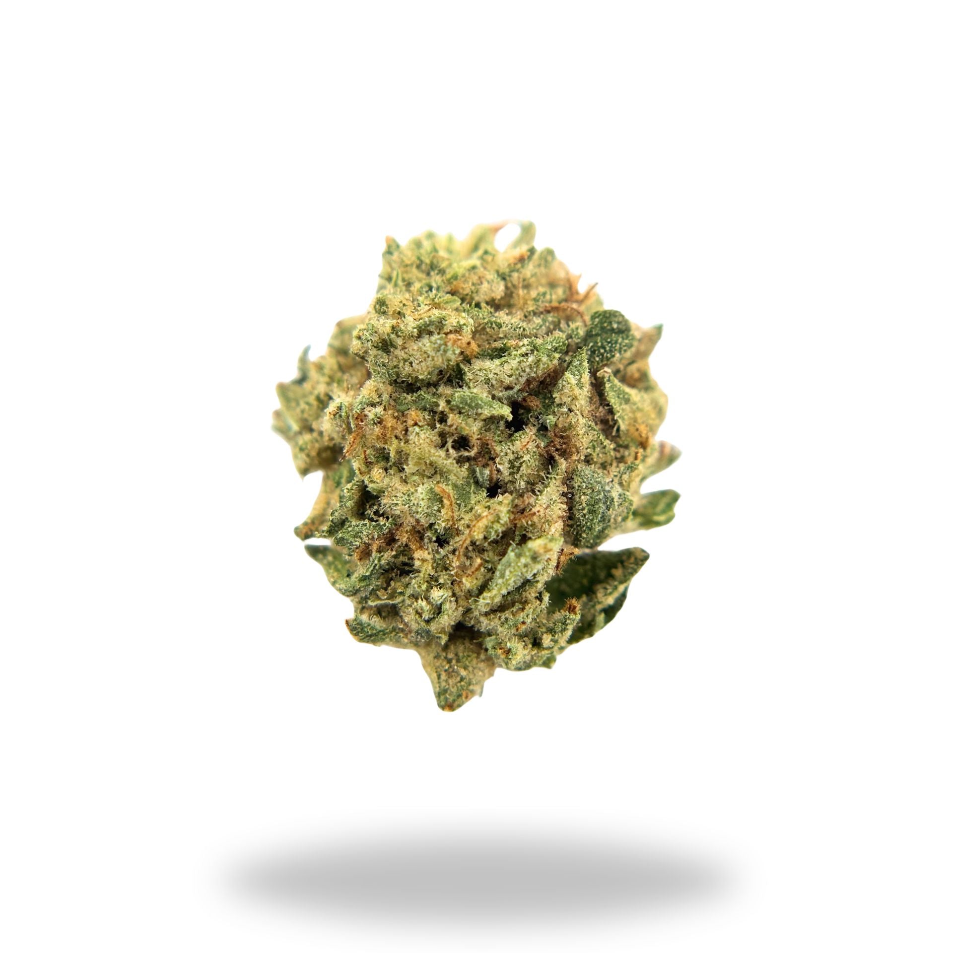 Amaretto Sour Legacy Farms Harvest Collection Flower The Hemp Farmacy 