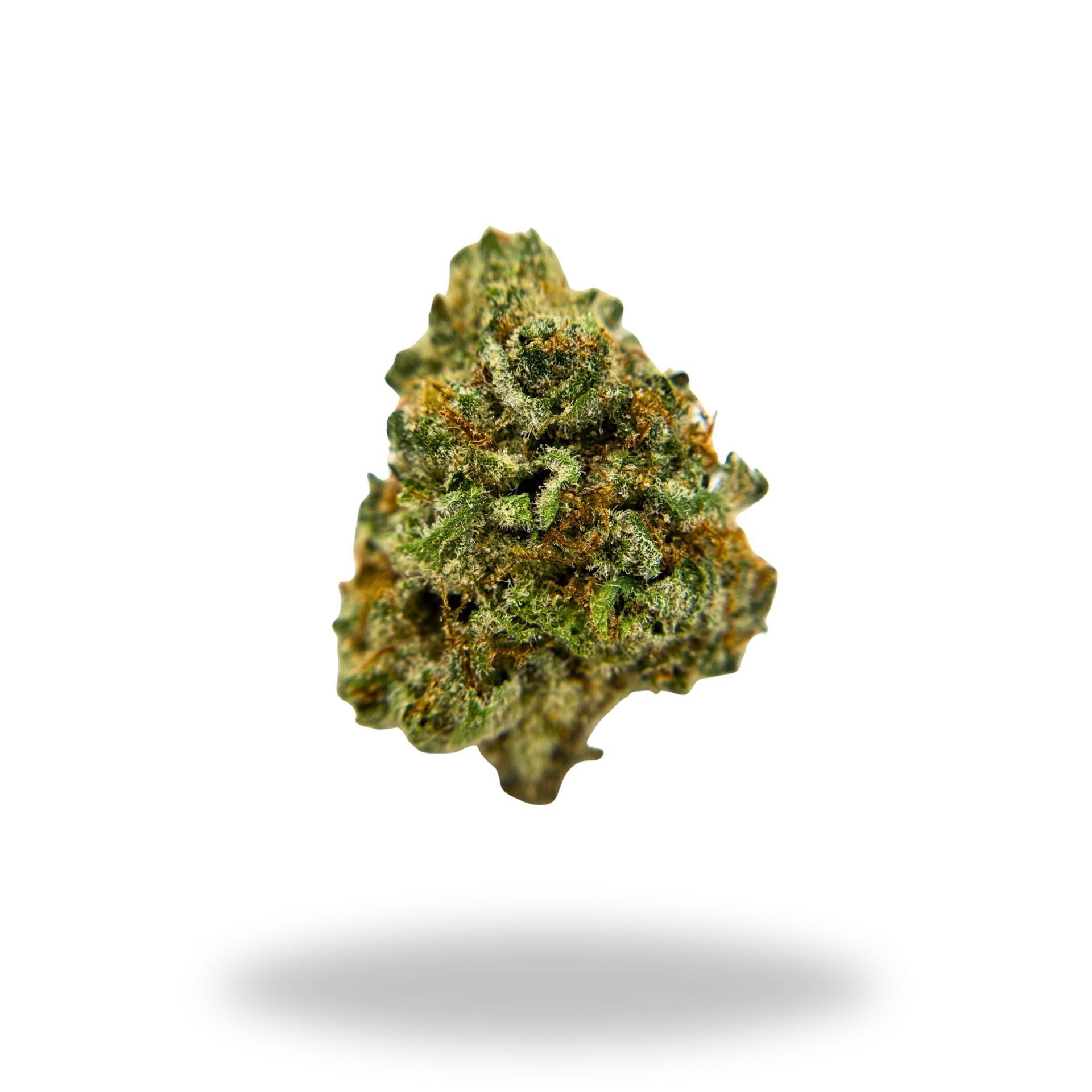 Bananaconda Legacy Farms Grade A THCa Flower Flower The Hemp Farmacy 