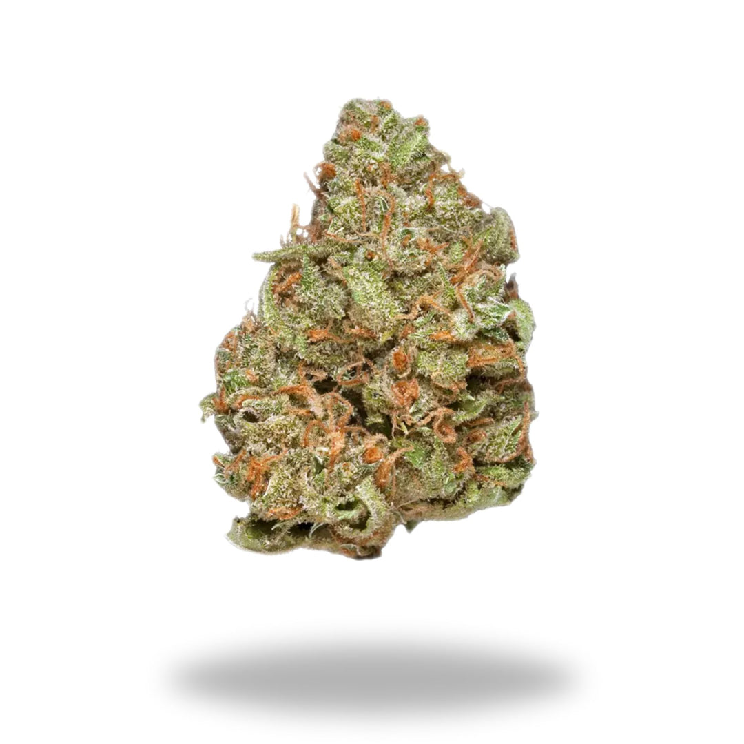 Blue Frost Legacy Farms Grade A THCa Flower The Hemp Farmacy Large Pre-roll 