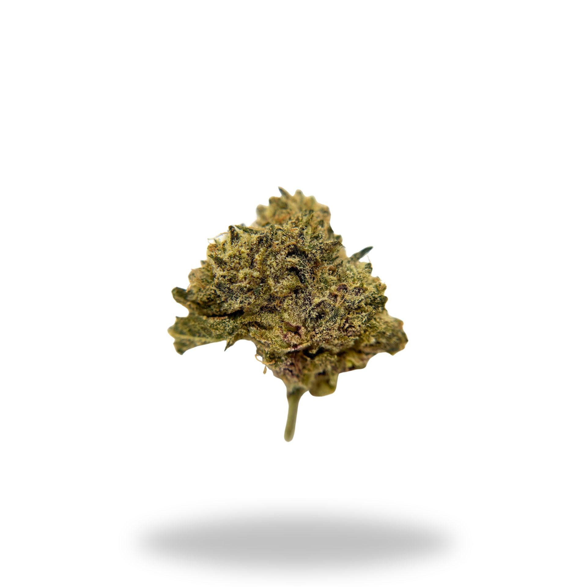 Blue Jam Legacy Farms Grade A THCa Flower Flower Legacy Farms 