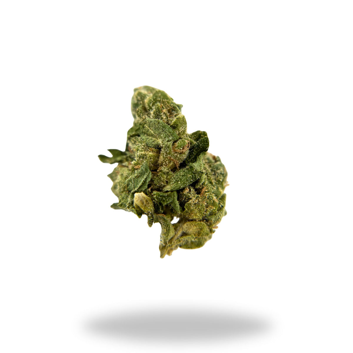 Chocolope Legacy Farms Harvest Collection Flower (TBP) Flower Legacy Farms 