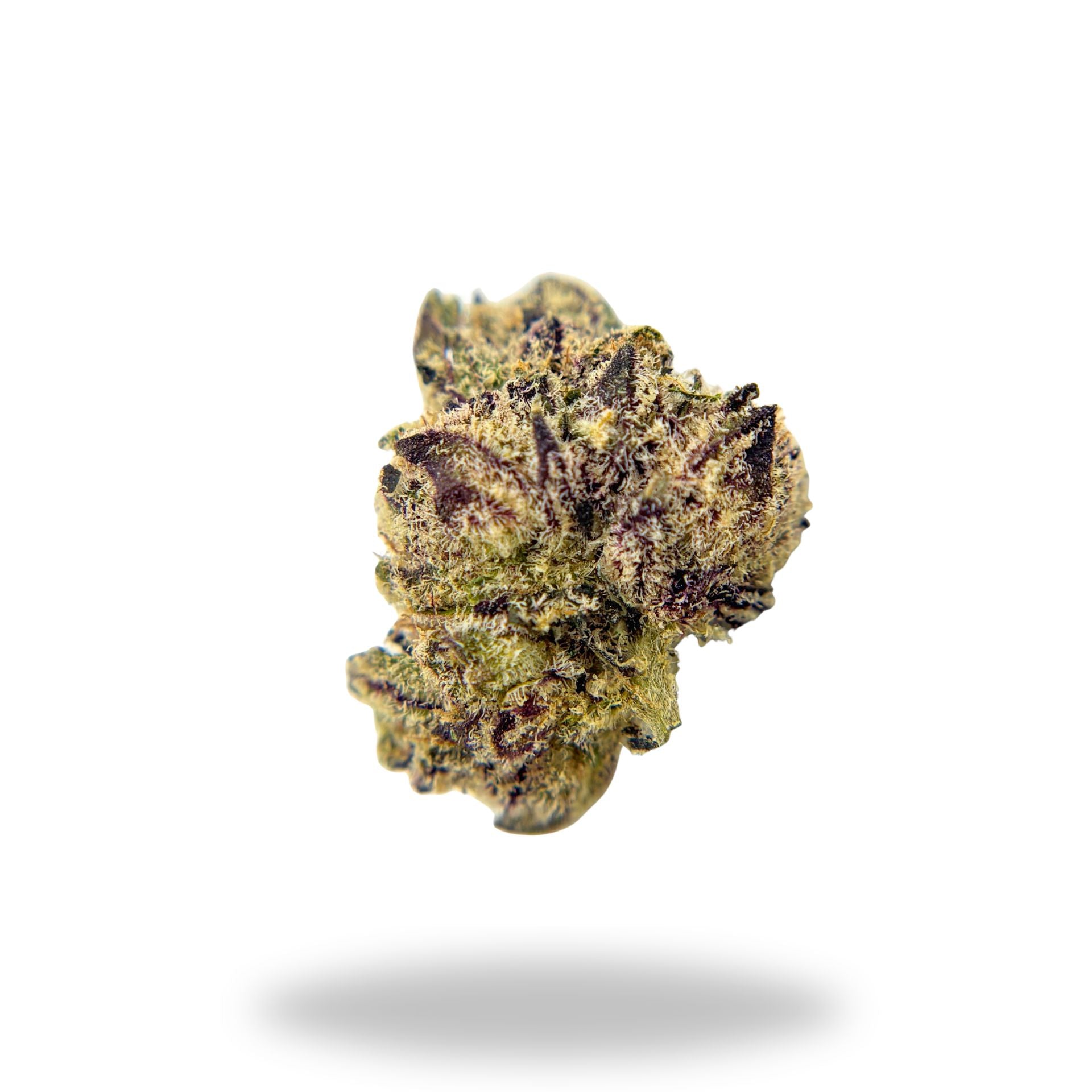 Da Funk Legacy Farms Grade A THCa Flower Flower Legacy Farms 