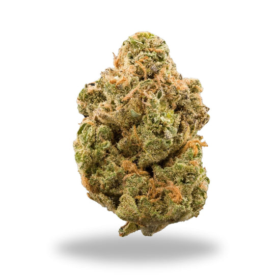 Dogwalkers Legacy Farms Grade A THCa Flower Flower The Hemp Farmacy 