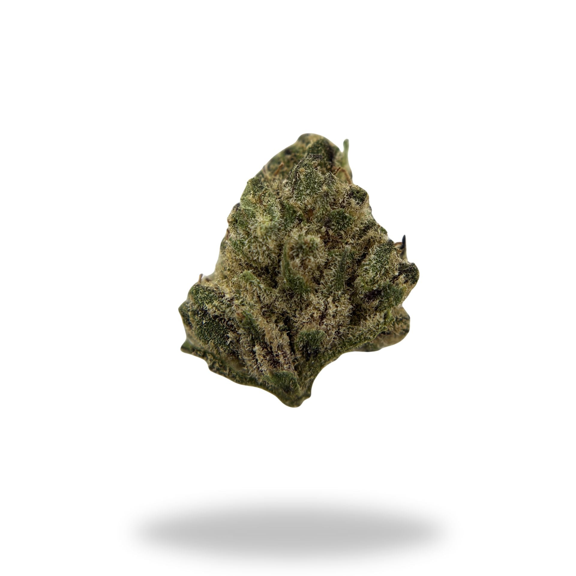 Dolce Gelato Legacy Farms Harvest Collection Flower (Needs COA Linked) (Needs QOH) Flower The Hemp Farmacy 