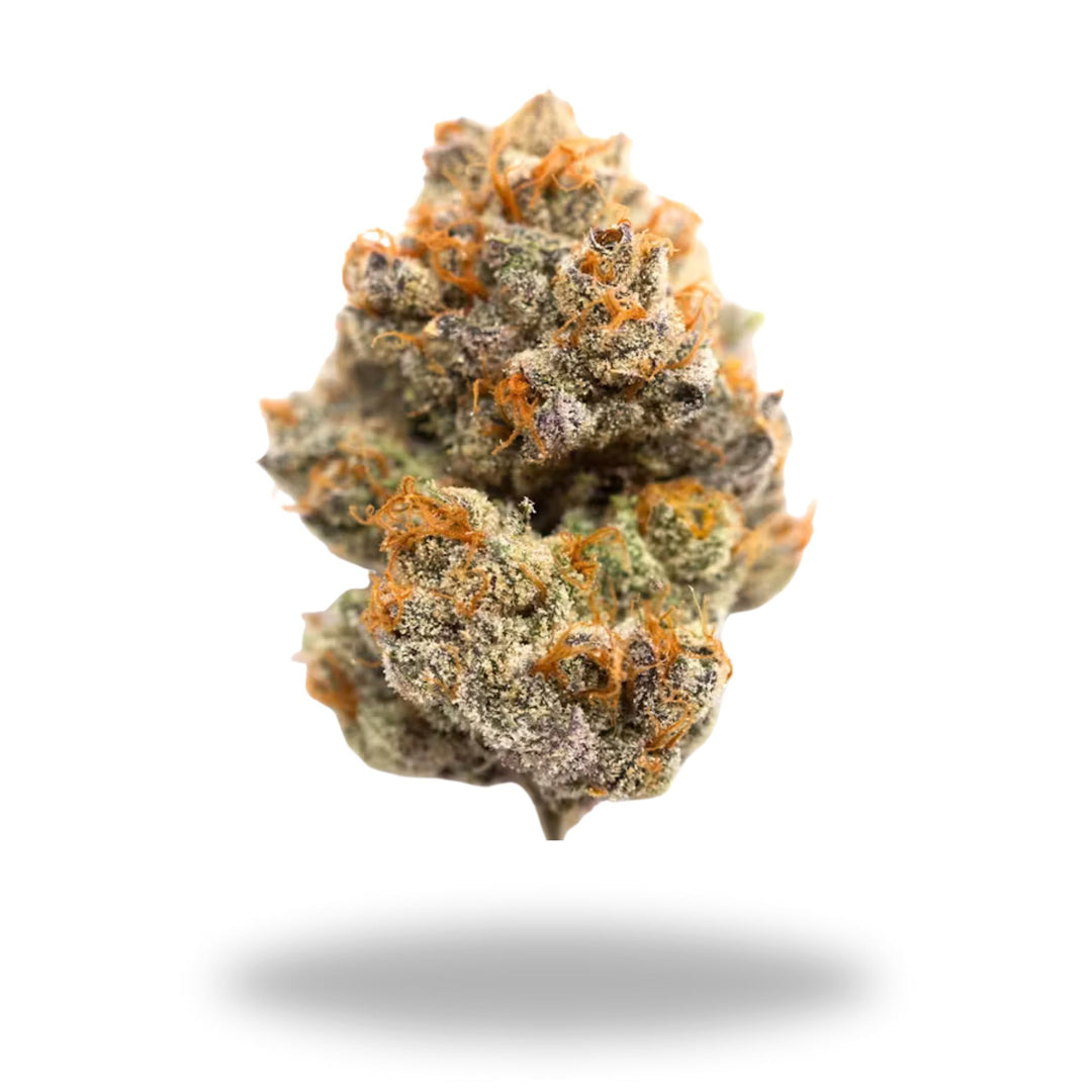 Garlotti Legacy Farms Grade A THCa Flower Flower The Hemp Farmacy 