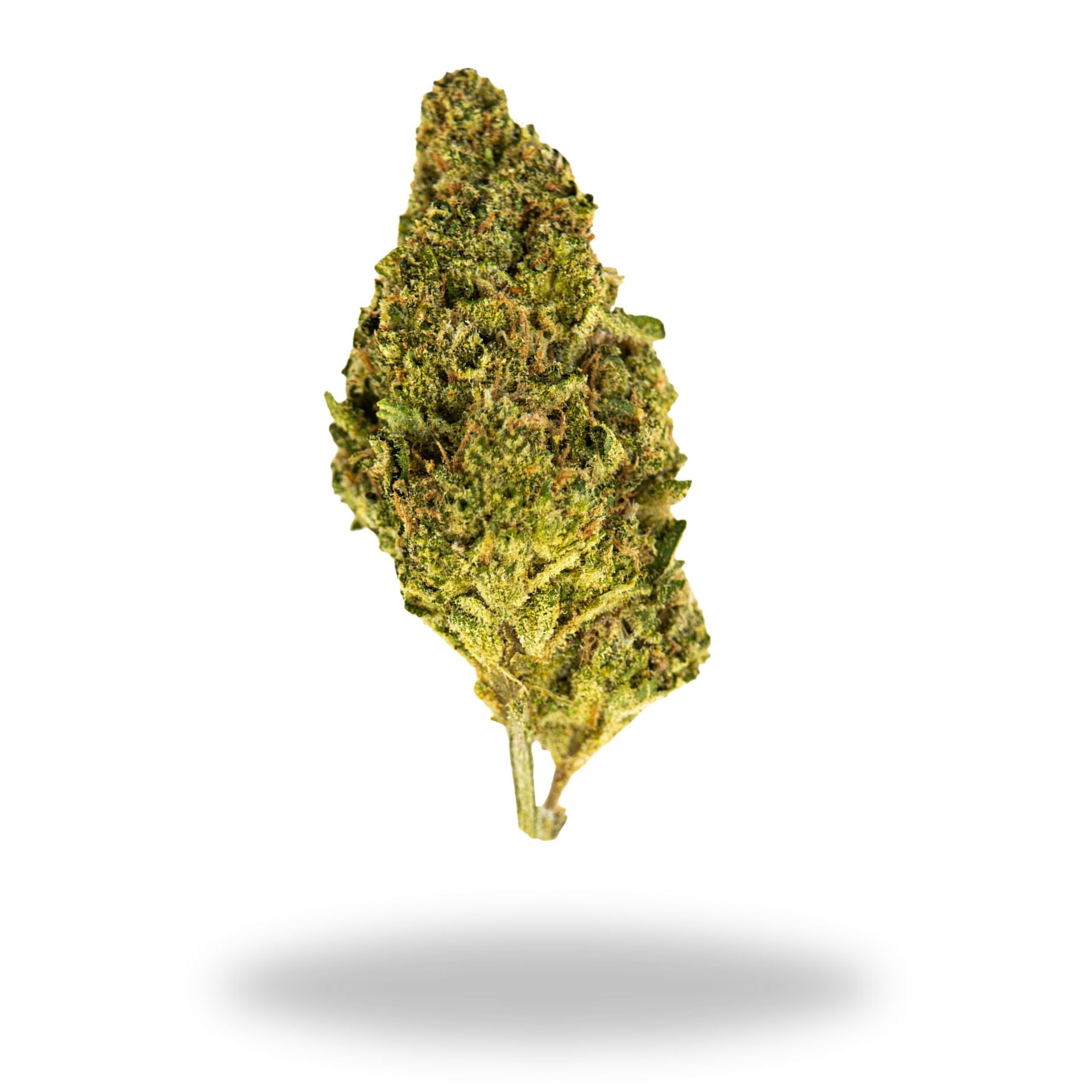 Gary Payton Legacy Farms Grade A THCa Flower Flower The Hemp Farmacy 