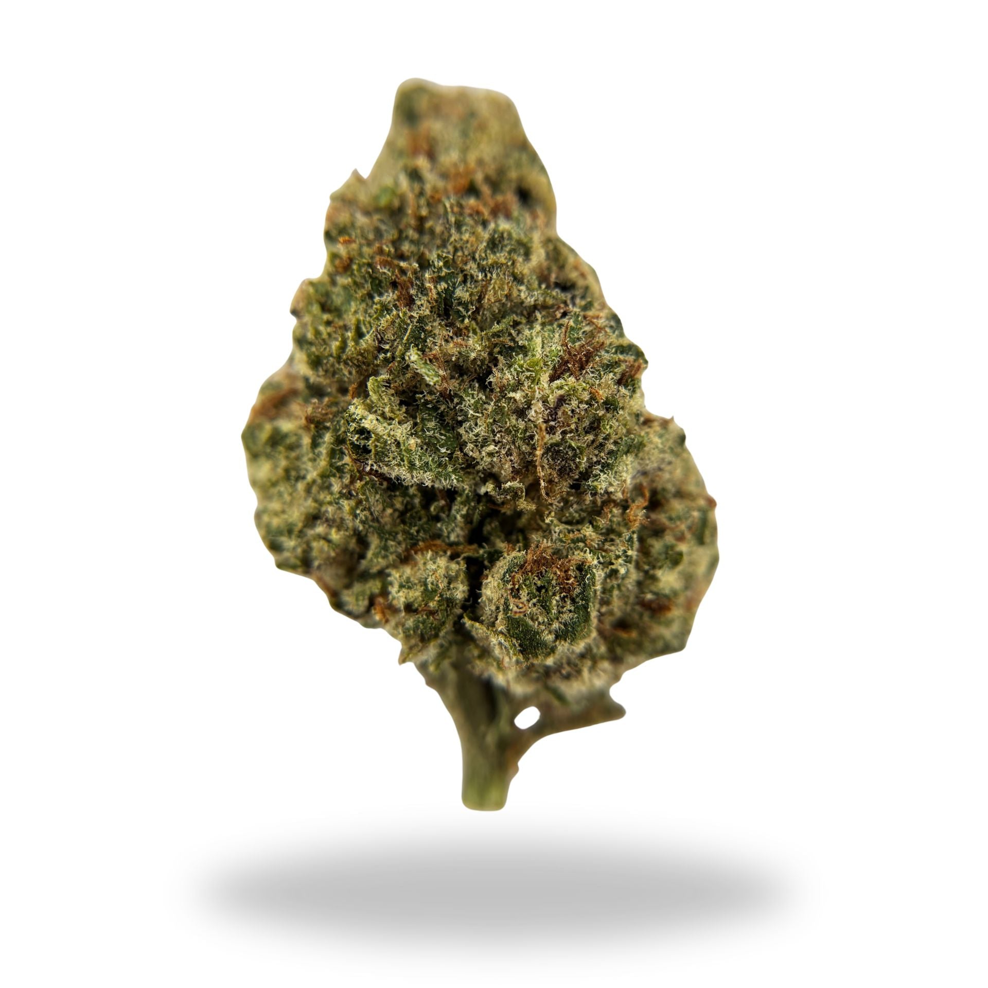 Gelonade Legacy Farms Grade A THCa Flower Flower The Hemp Farmacy 