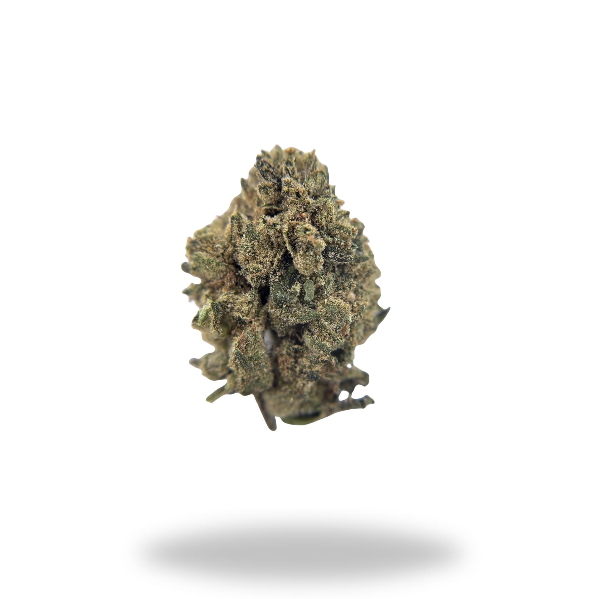 Girl Scout Cookies Legacy Farms Harvest Collection Flower Flower Legacy Farms 