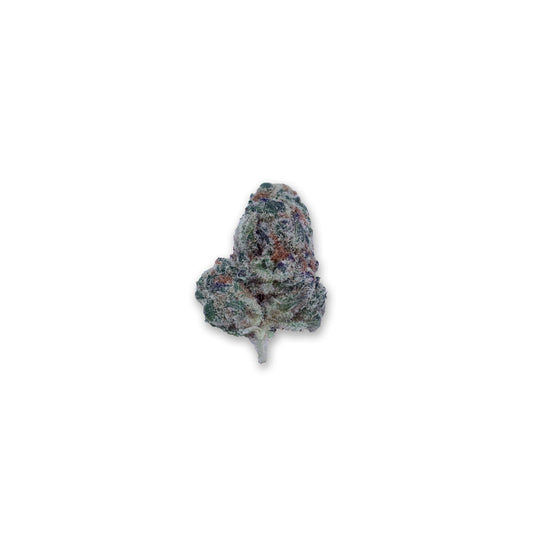 Glitter Bomb Legacy Farms Grade A THCa Flower Flower The Hemp Farmacy Buy THCA flower online
Premium THCA flower
THCA flower for sale
Shop THCA products
Legal THCA flower
